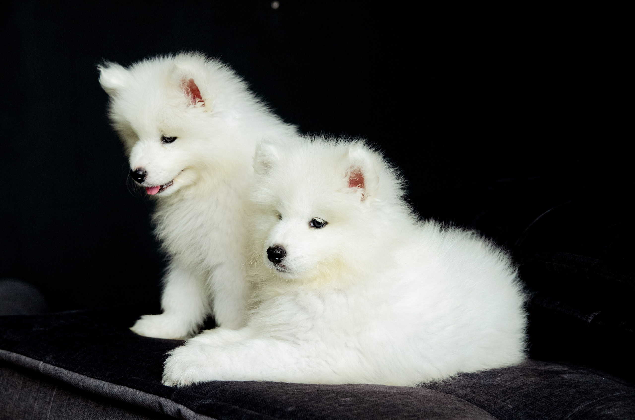 Творческие фотосессии. Фотограф в Хабаровске