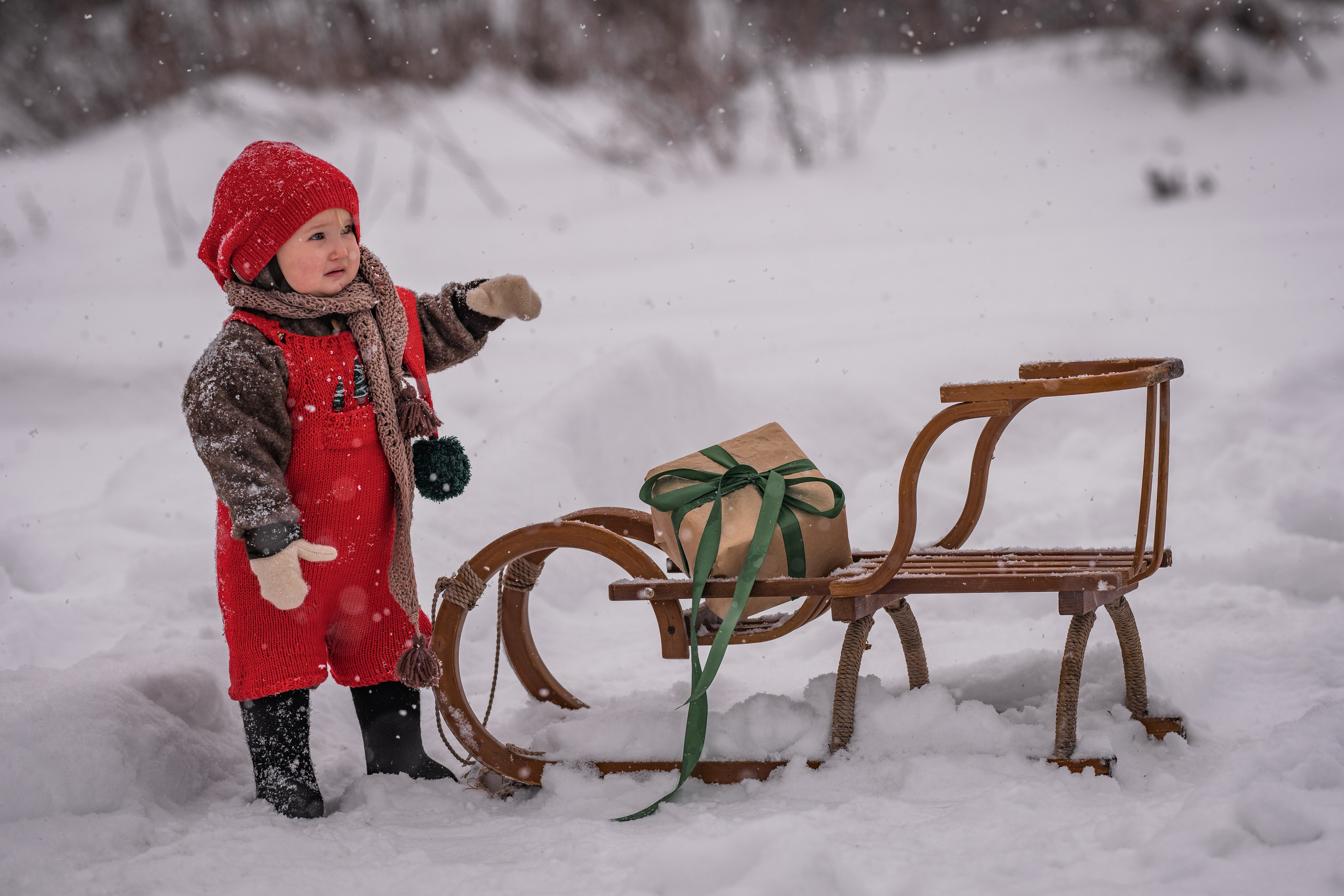 Снежная прогулка на санках. Семейный фотограф Ефремова Виктория