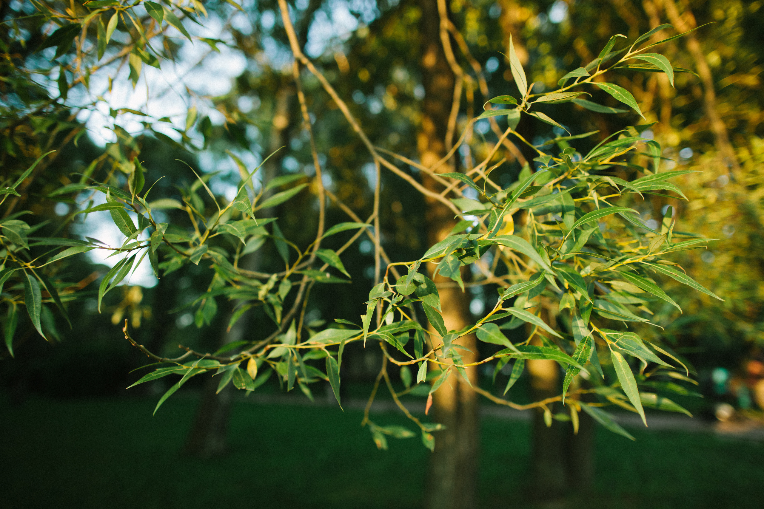 Предпоследний день лета. Семейный и свадебный фотограф в Майкопе Михаил Мартиросян