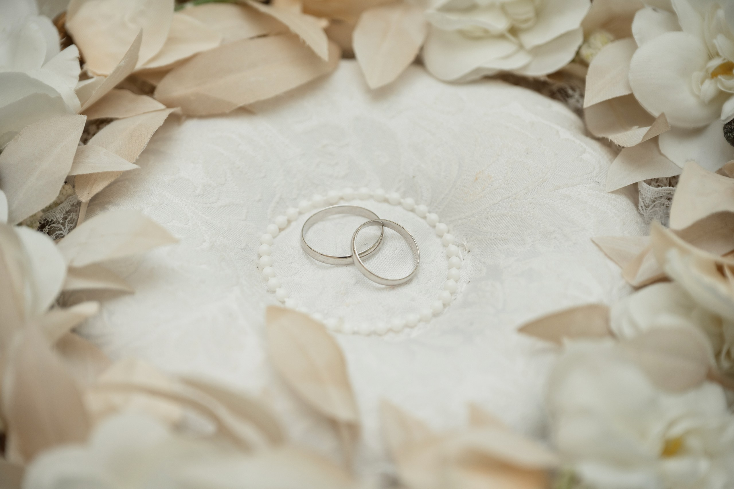 Свадебная фотосъемка в ЗАГСе в Петропавловске-Камчатском, Романтическая прогулочная фотосессия молодоженов в Петропавловске-Камчатском, Кадры церемонии бракосочетания и живые эмоции на природе, Красивые свадебные фотографии в городском и природном антураже, Стоимость профессиональной съемки свадьбы в Петропавловске-Камчатском.