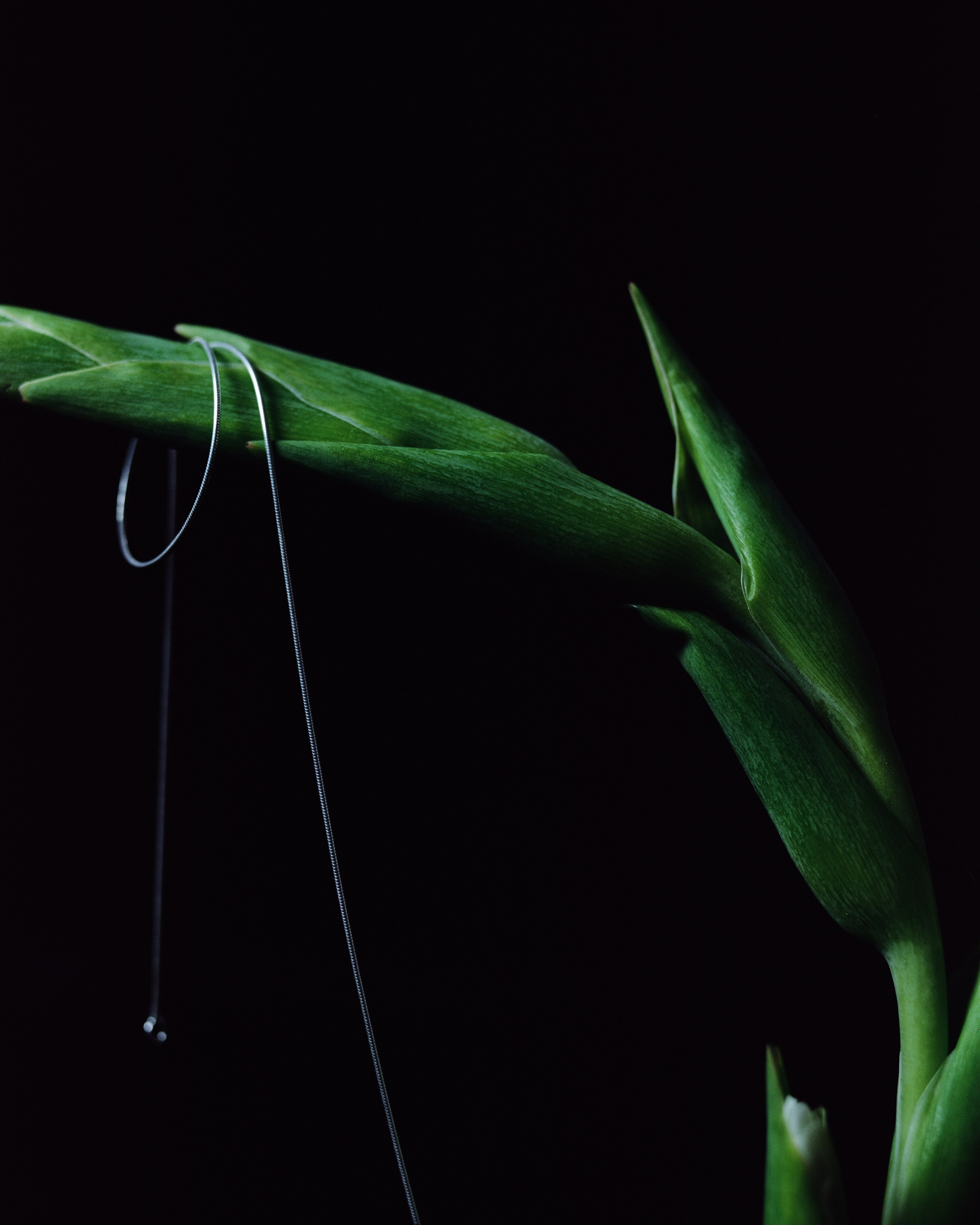 Sumei. Фотограф из Москвы