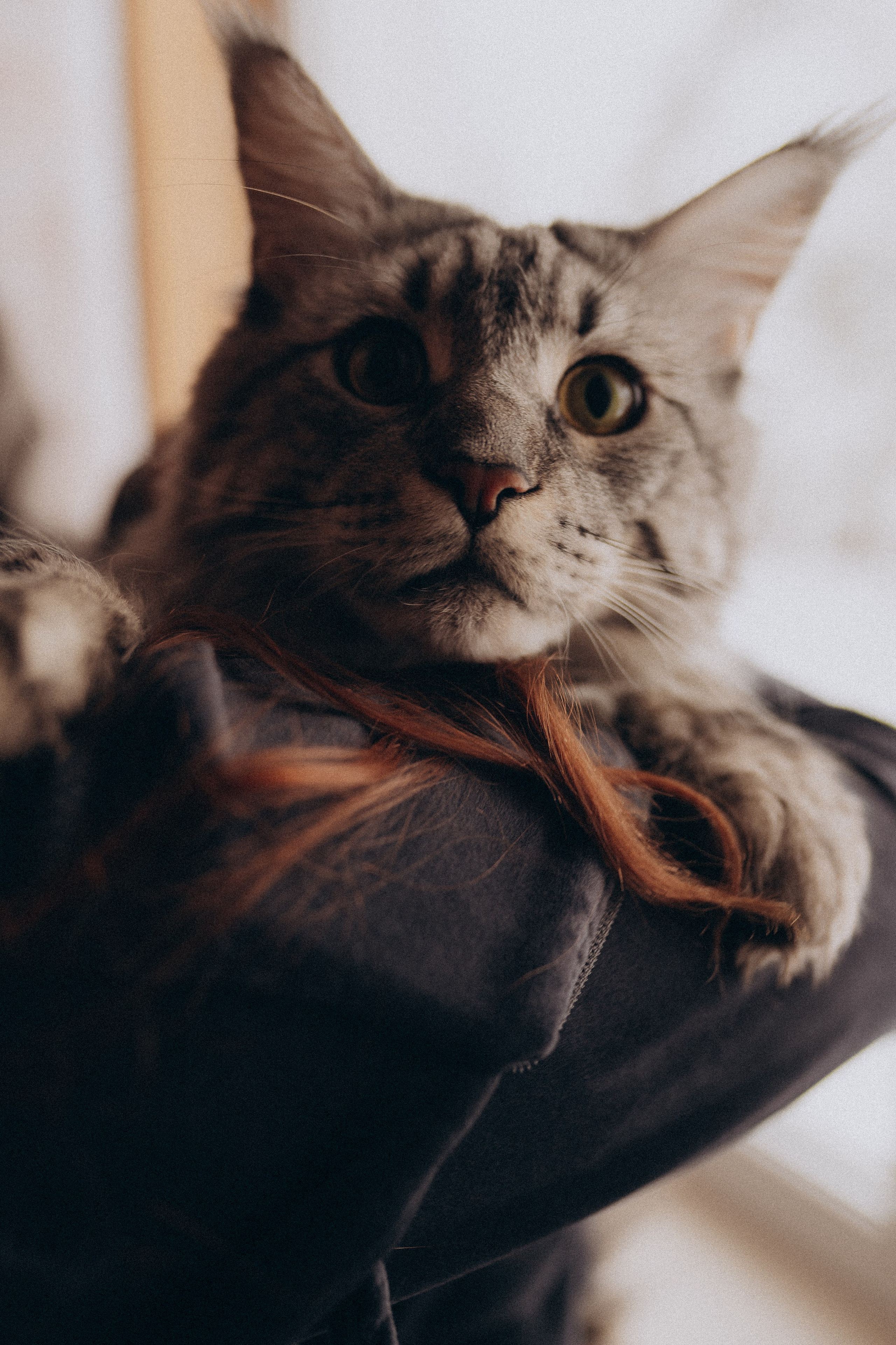 Анжелика. Фотограф Торопец Кристина Абрамова Kanwellia photography