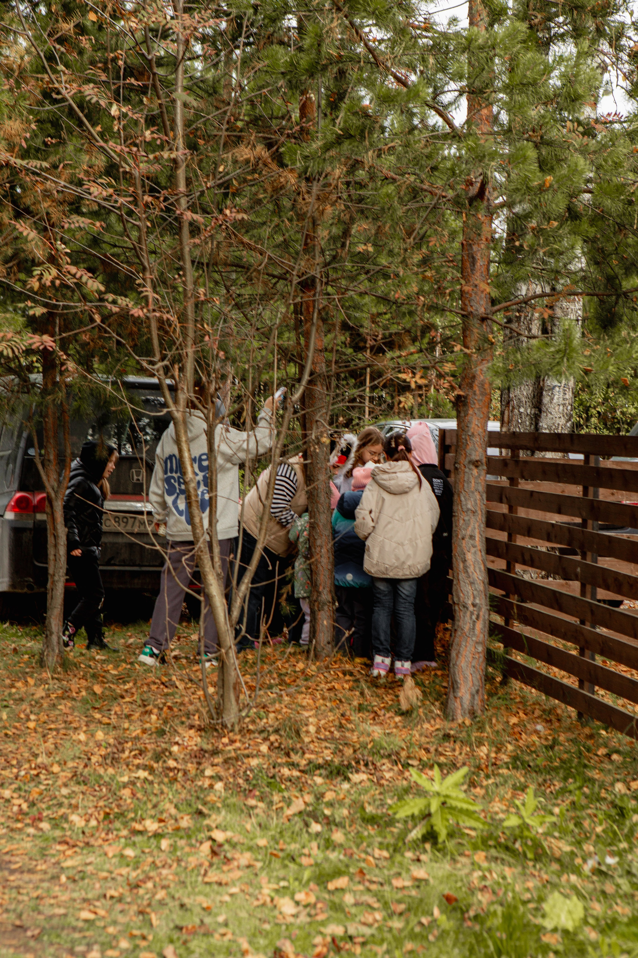 Арбузник/Пиратская вечеринка. Фотограф Екатерина Голицына