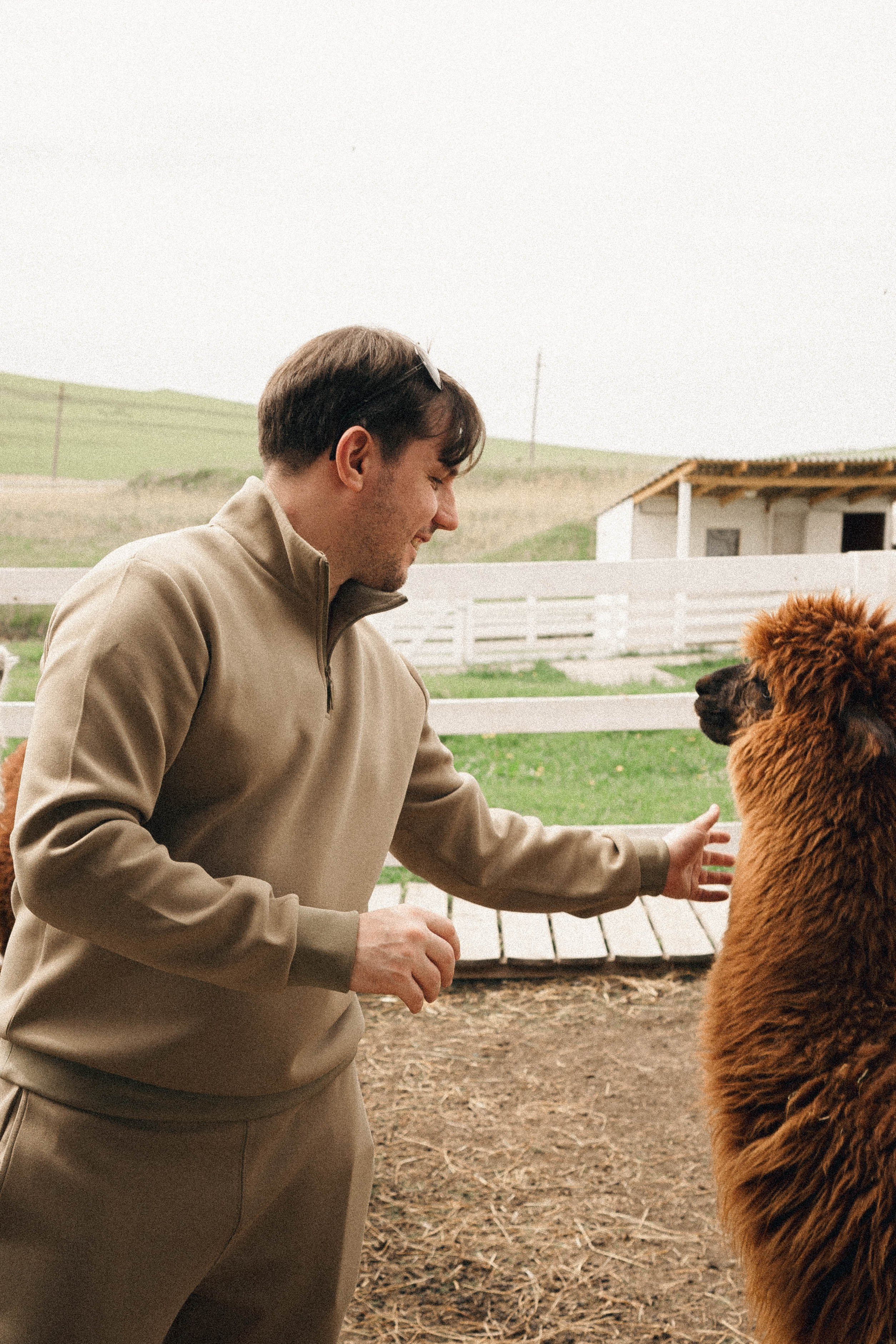Ферма Альпак. Профессиональный фотограф, Санкт-Петербург — Виктория Богомолова