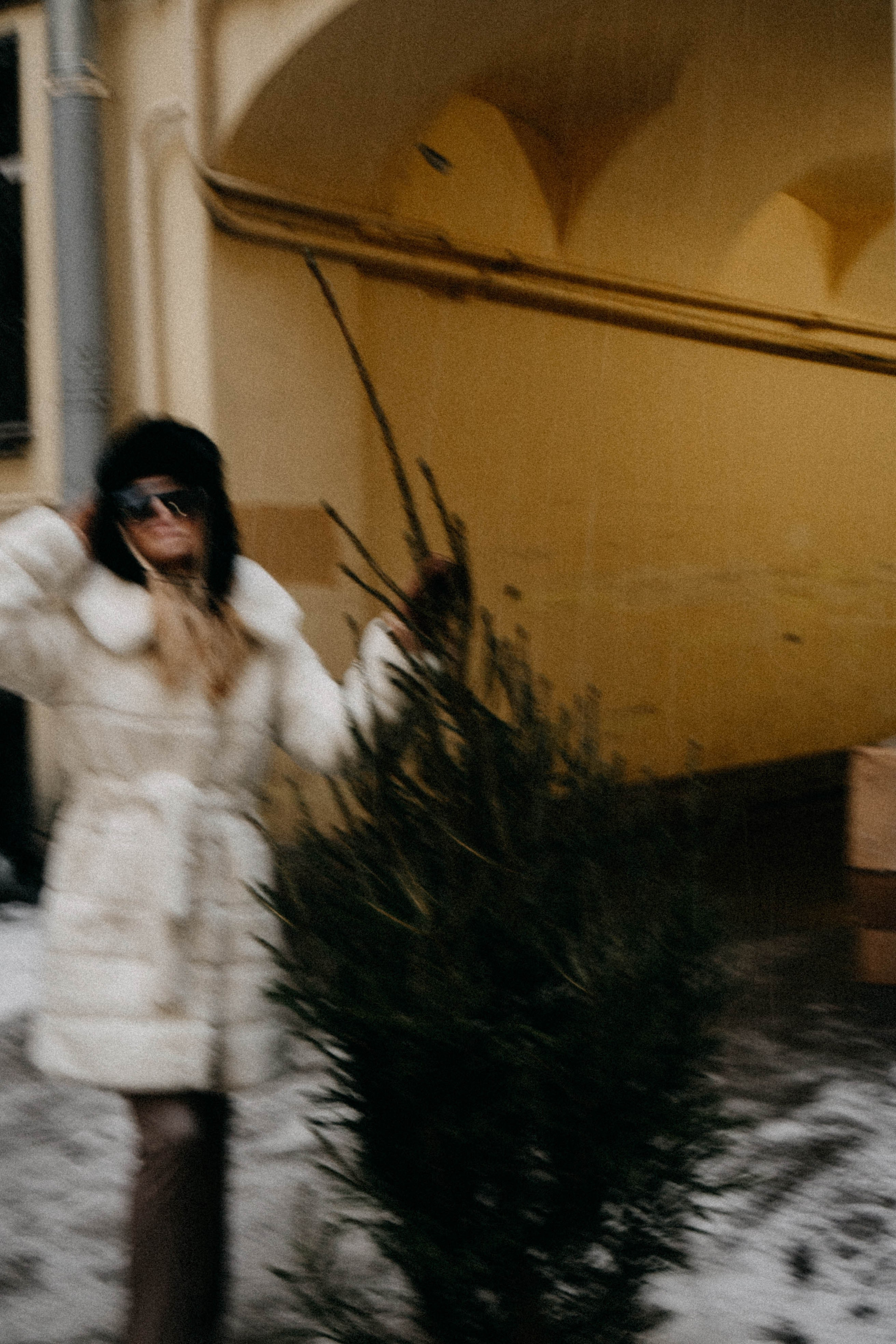 Новогодняя. Профессиональный фотограф, Санкт-Петербург — Виктория Богомолова