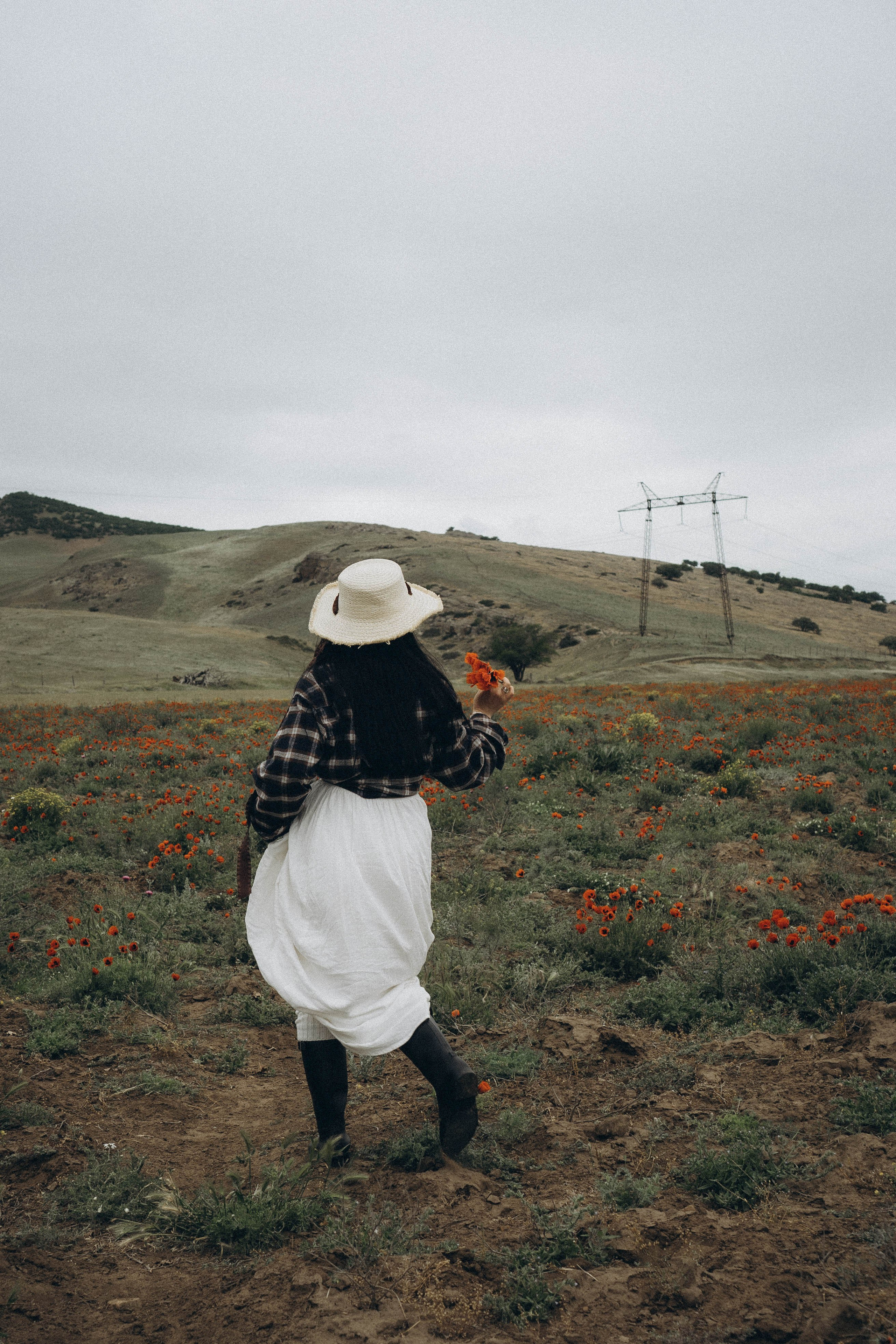 Маковое поле. Профессиональный фотограф, Санкт-Петербург — Виктория Богомолова