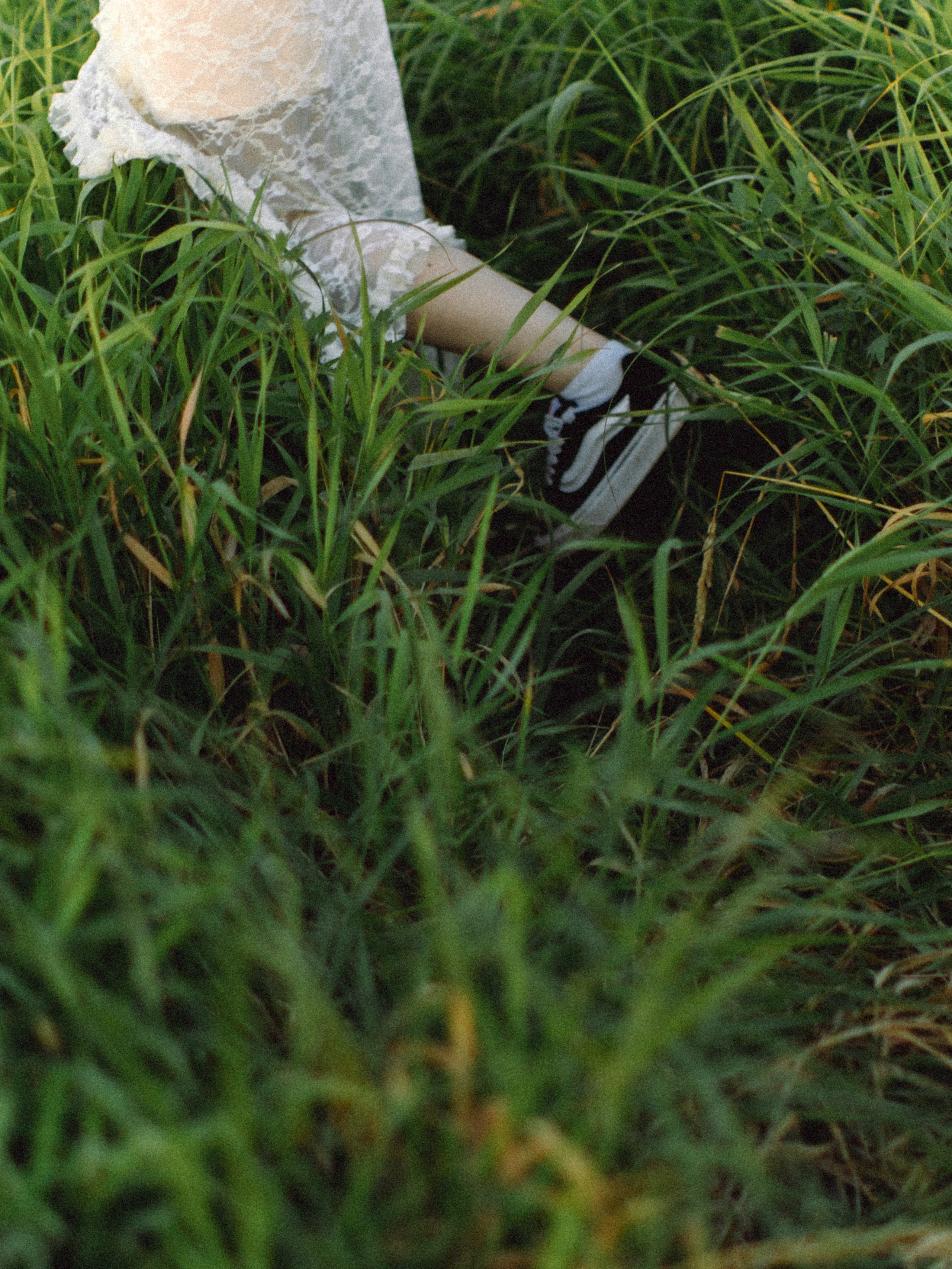 Аня и Даня. Свадебные фотографы в г. Сургут Маркова Наталья и Замахина Елена