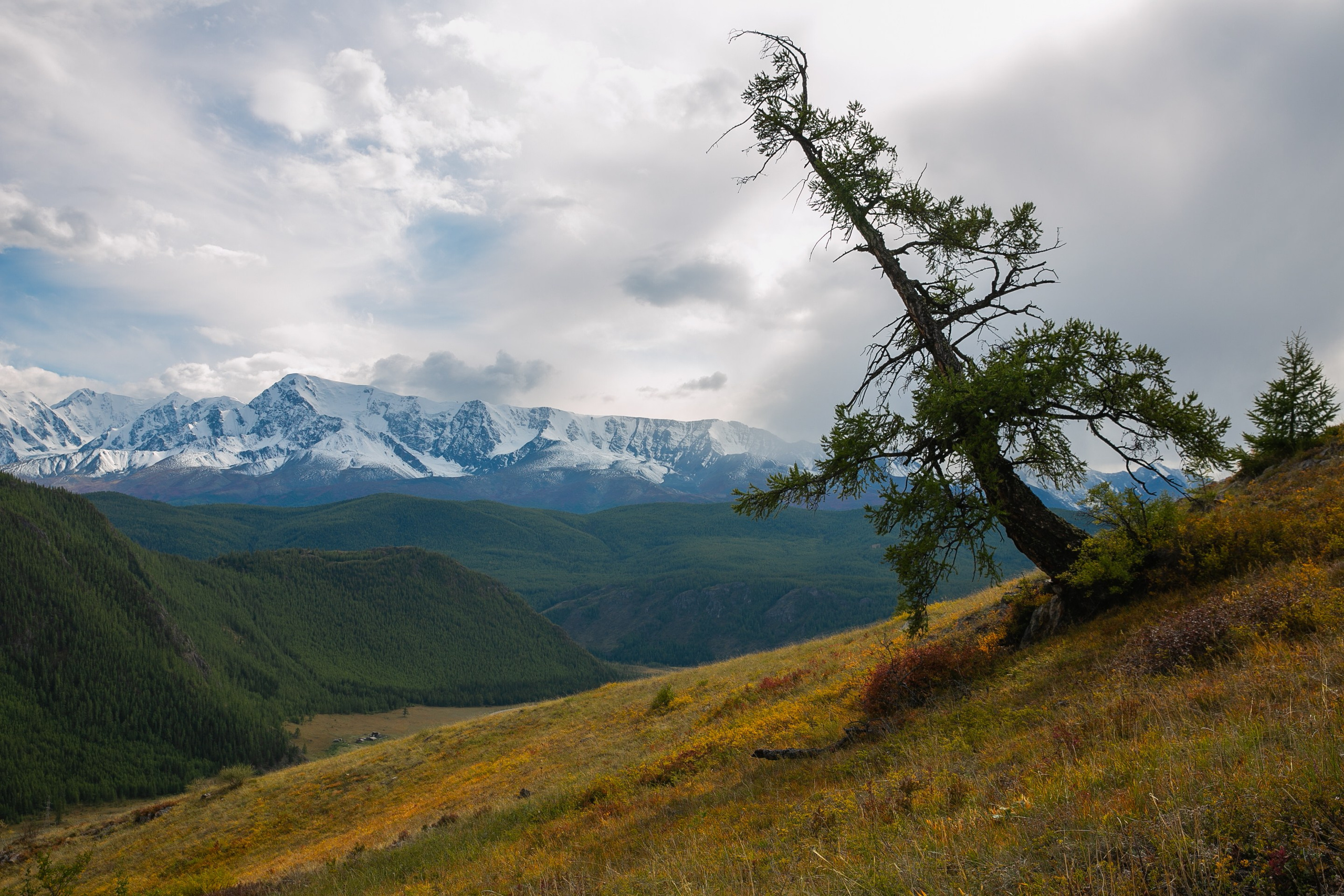 Алтай. Репортажный фотограф в Москве Зуйко Оксана