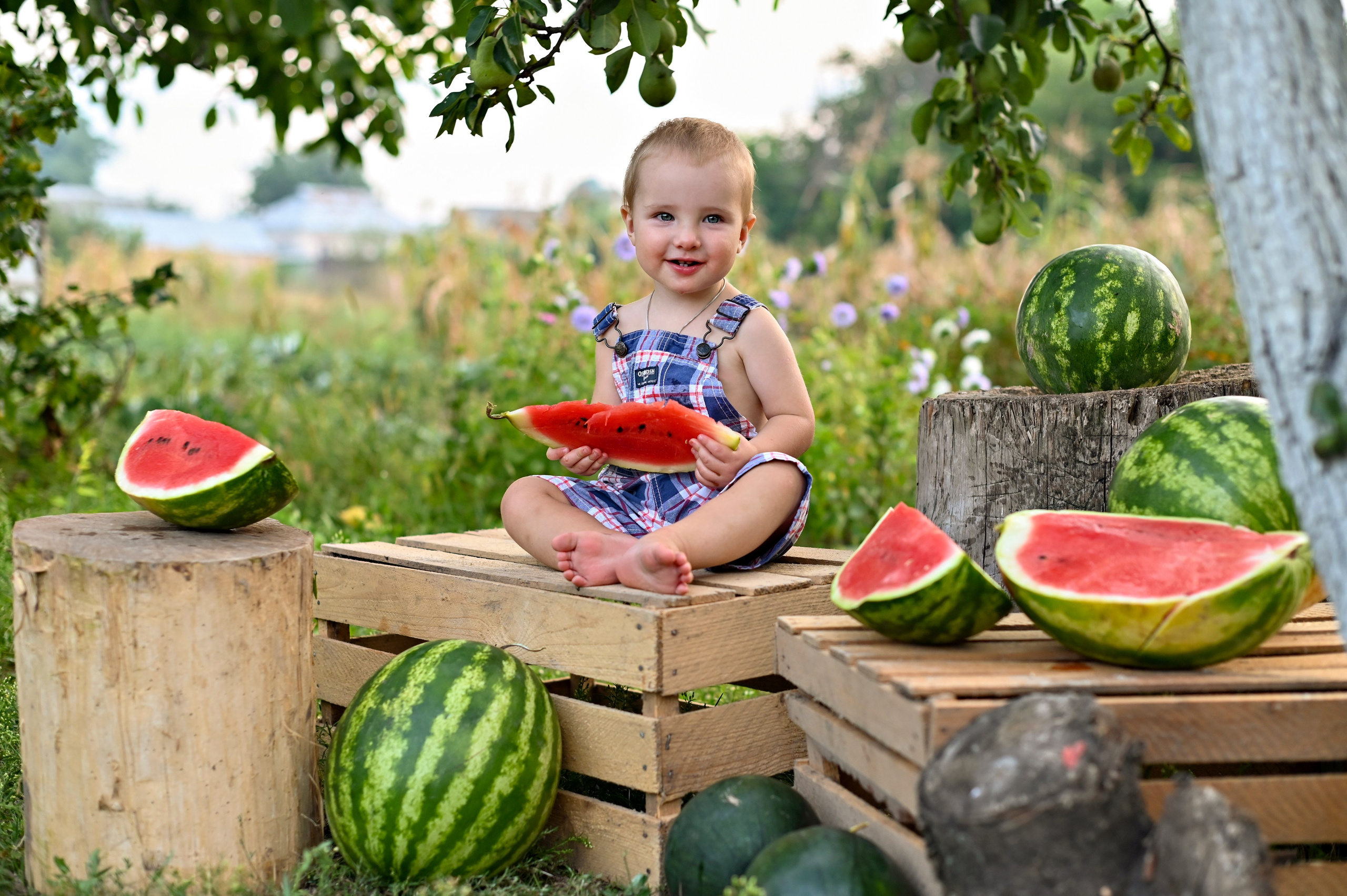 фотопроект арбуз
