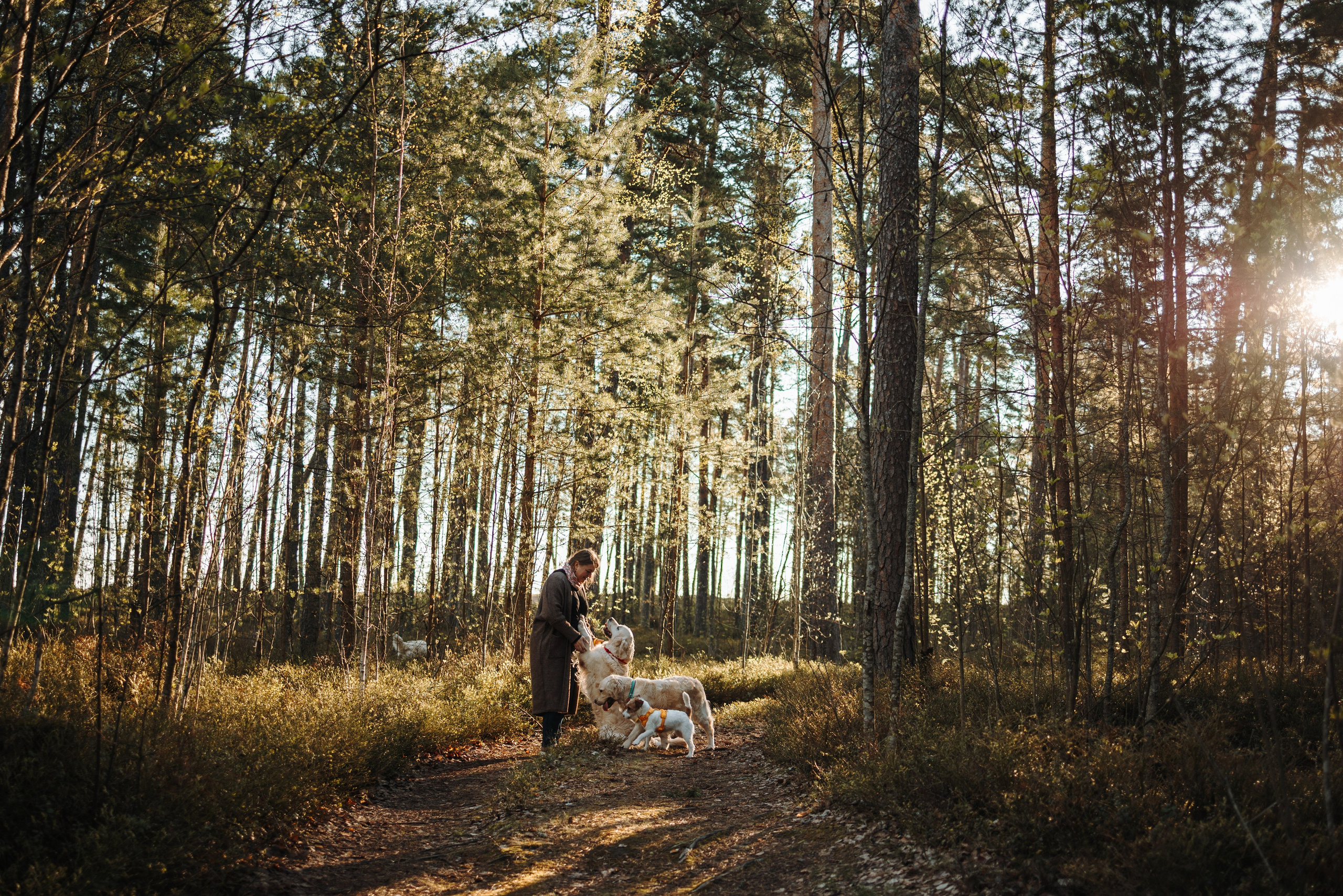Катя и ее девочки. Фотограф — Анималист | Санкт-Петербург