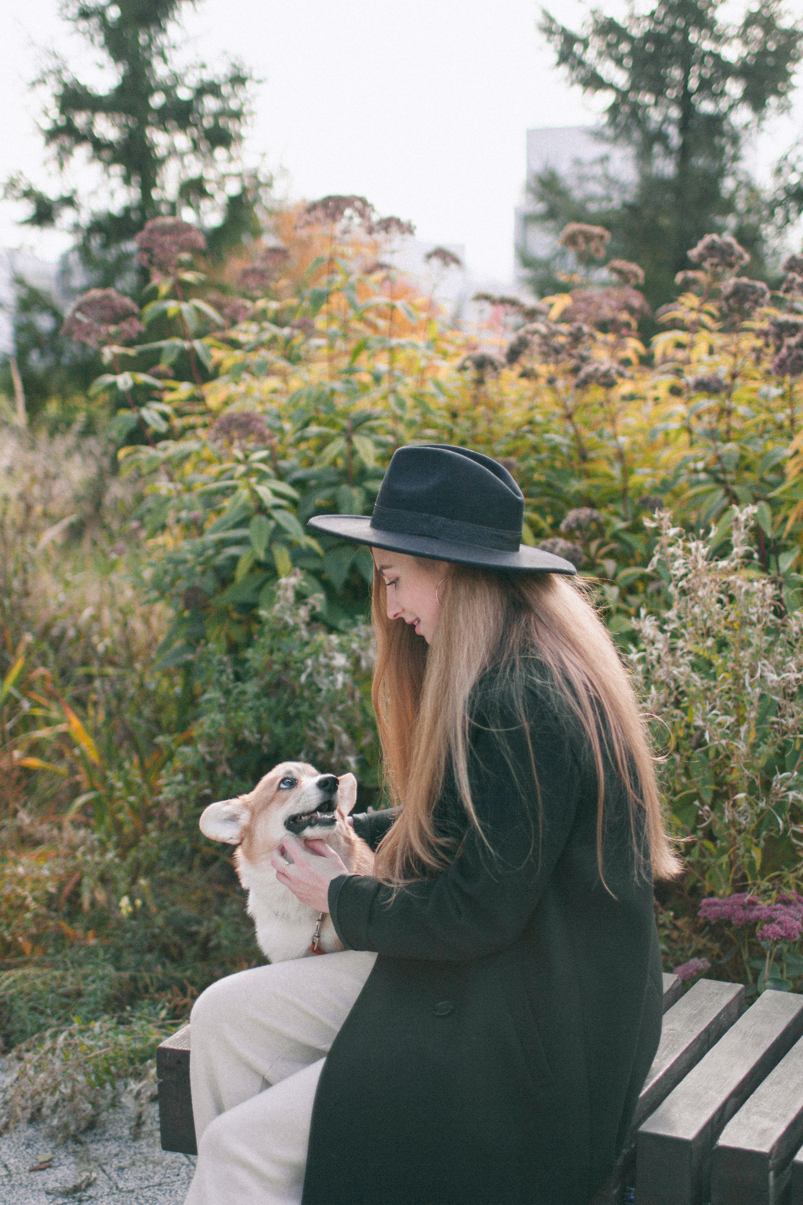 Marina & Persik. Portrait photographer in New York, Yulia Zubova
