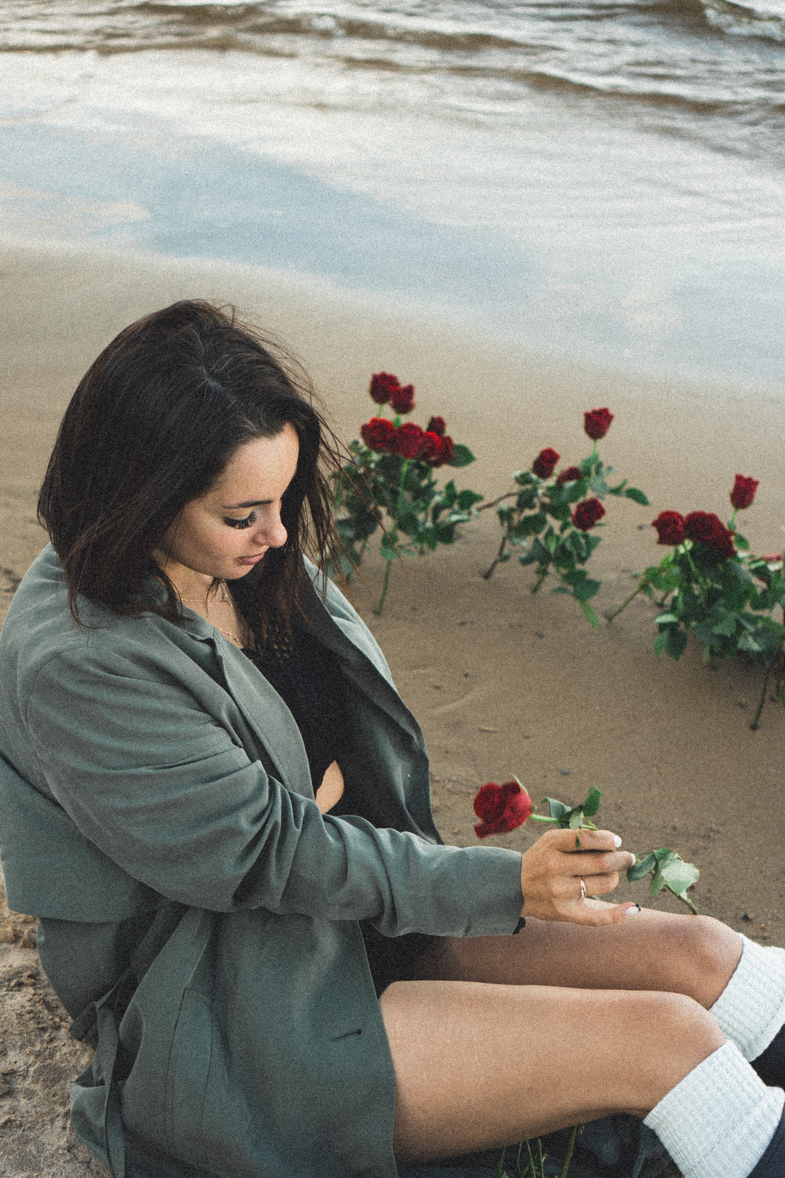 Розы. Профессиональный фотограф, Санкт-Петербург — Виктория Богомолова