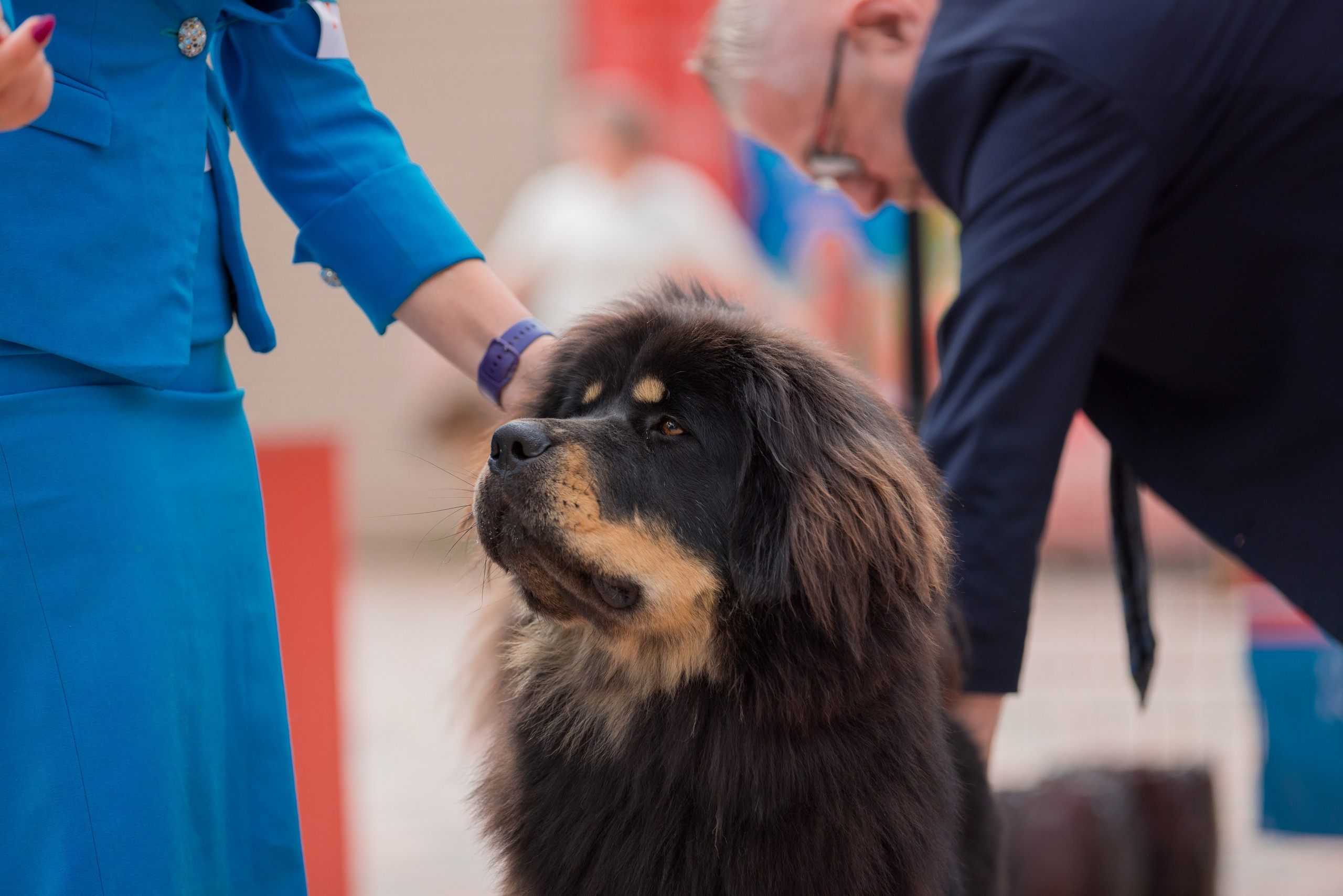 Ташкент 6-8.10.2023 + Алматы 14-15.10.2023. Фотограф-анималист Юлия Германика