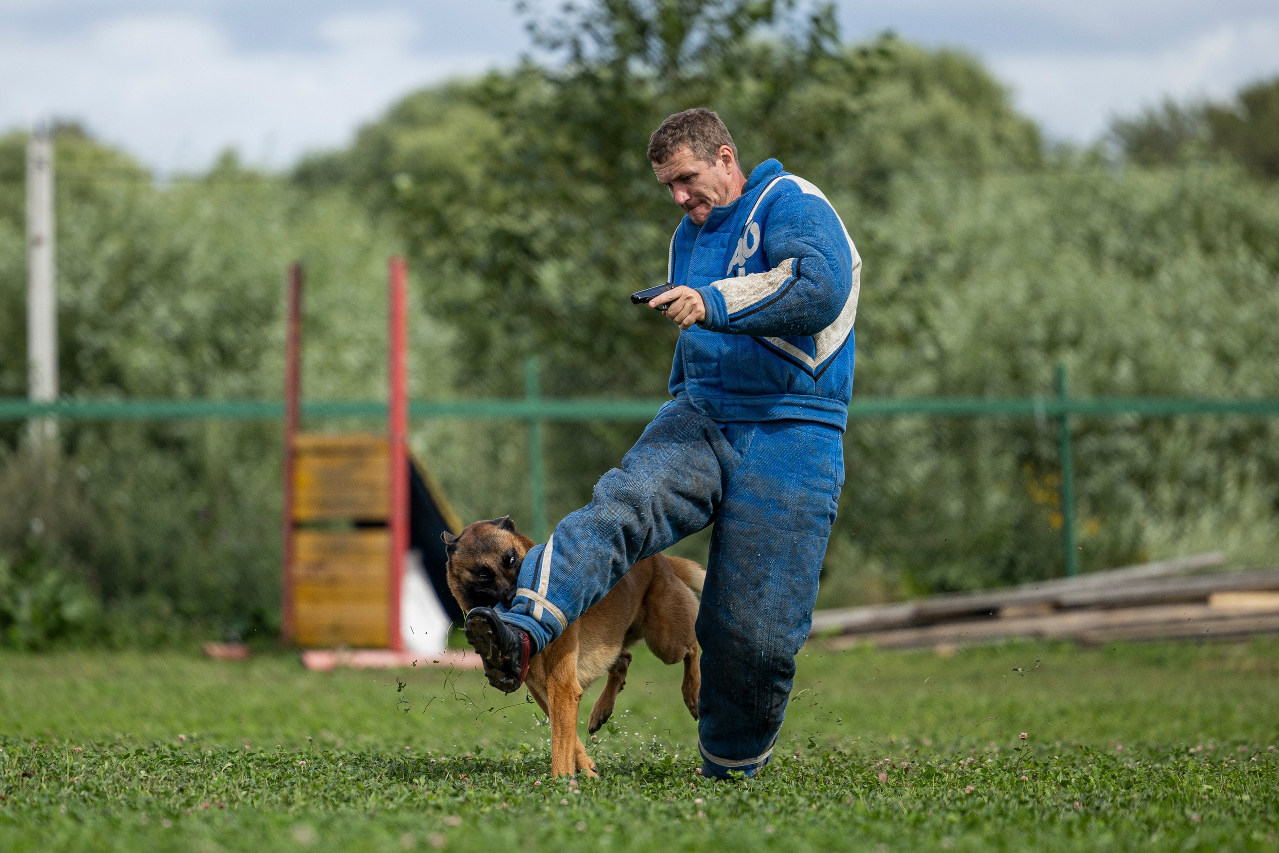 Соревнования по Мондьорингу г. Вологда 10-11.08.2024. Фотограф-анималист Анна Маринич
