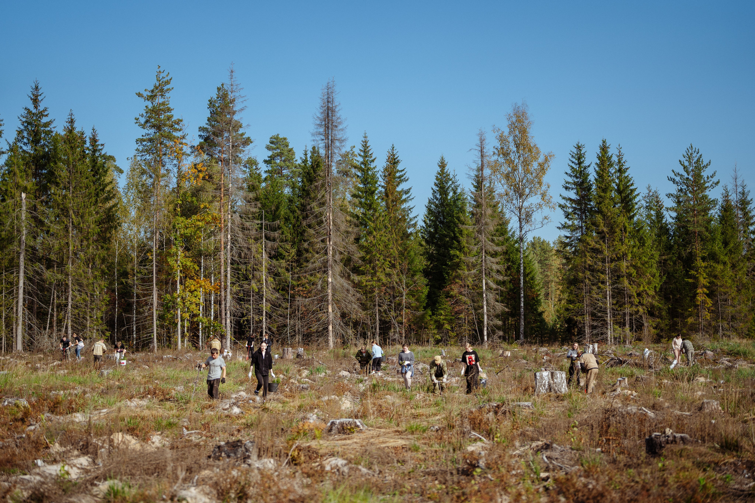 СБЕР · ЭКА · Посадка сеянцев. Владимир Вершинин, тот самый свадебный видеограф