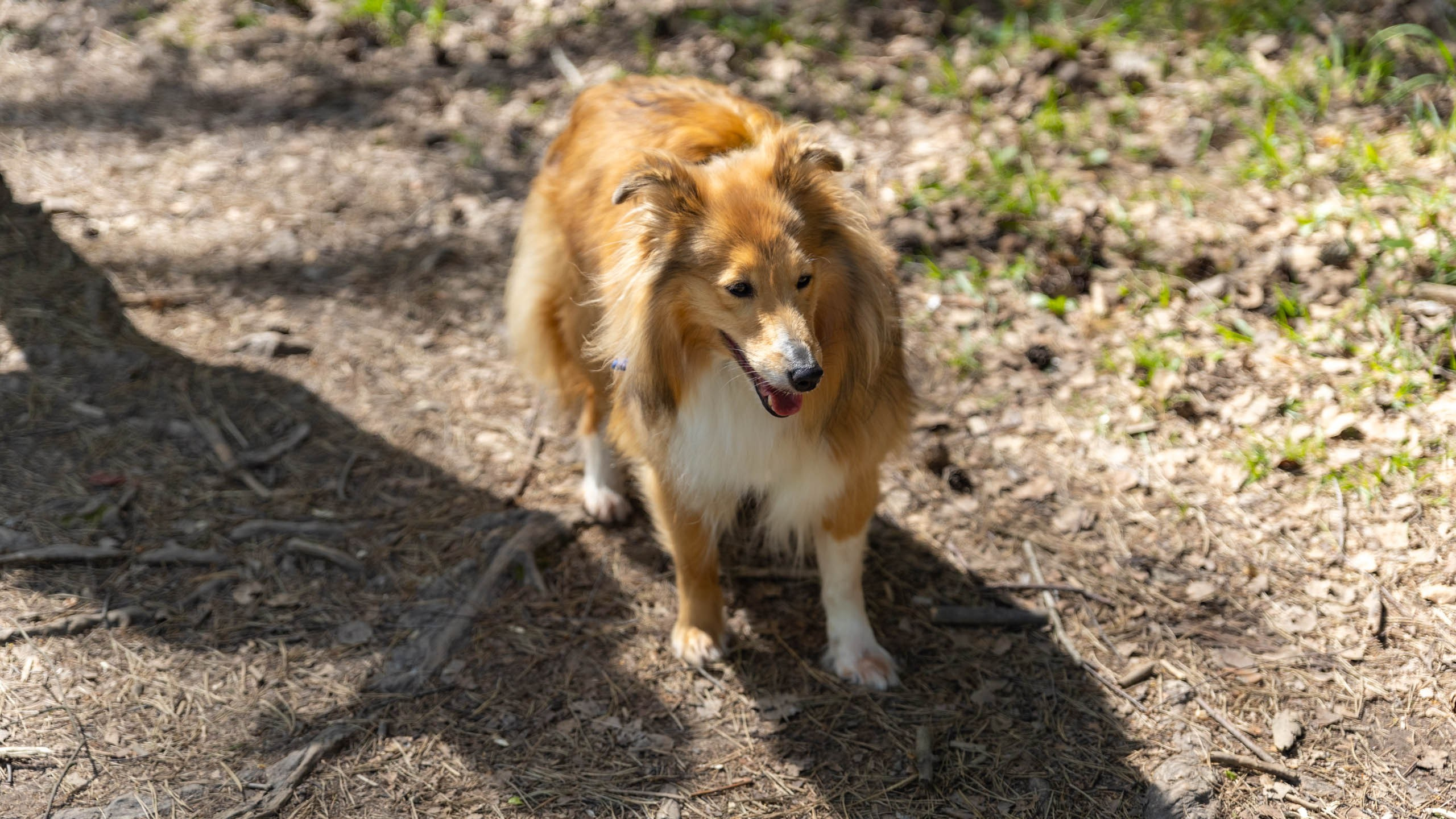 202404 Элис и Лора. Фотографии