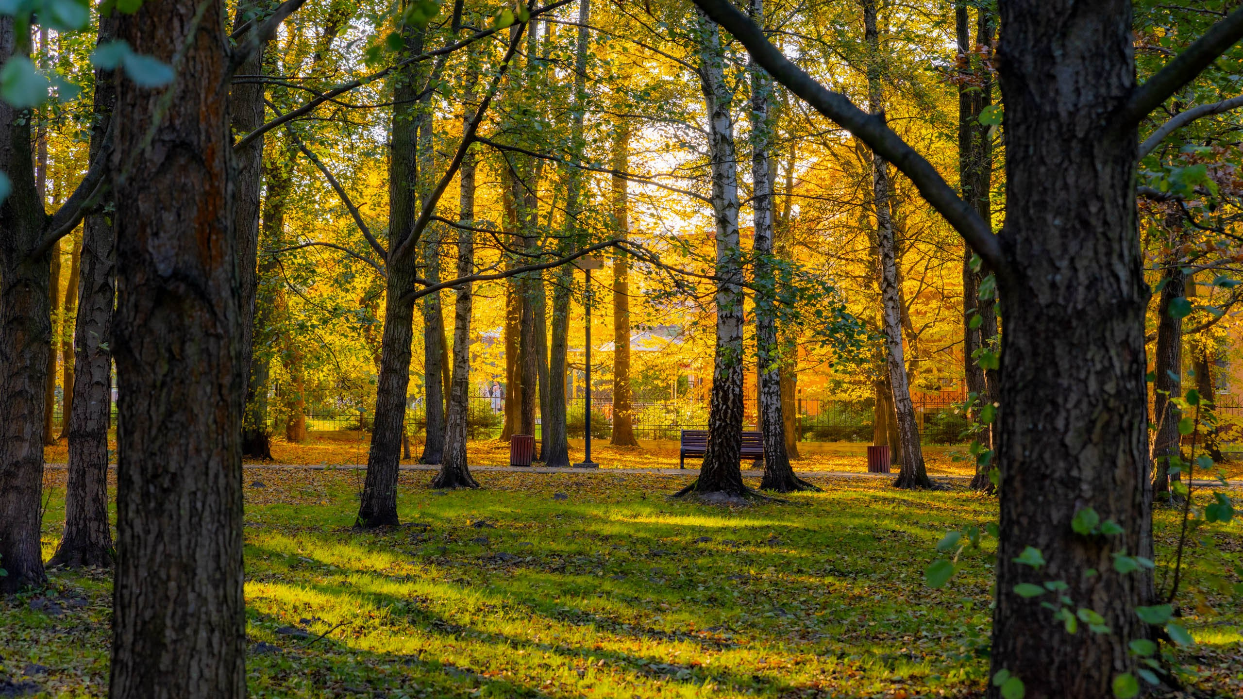 2024 10 Зеленоградск, Светлогорск, Куршская коса. Фотографии