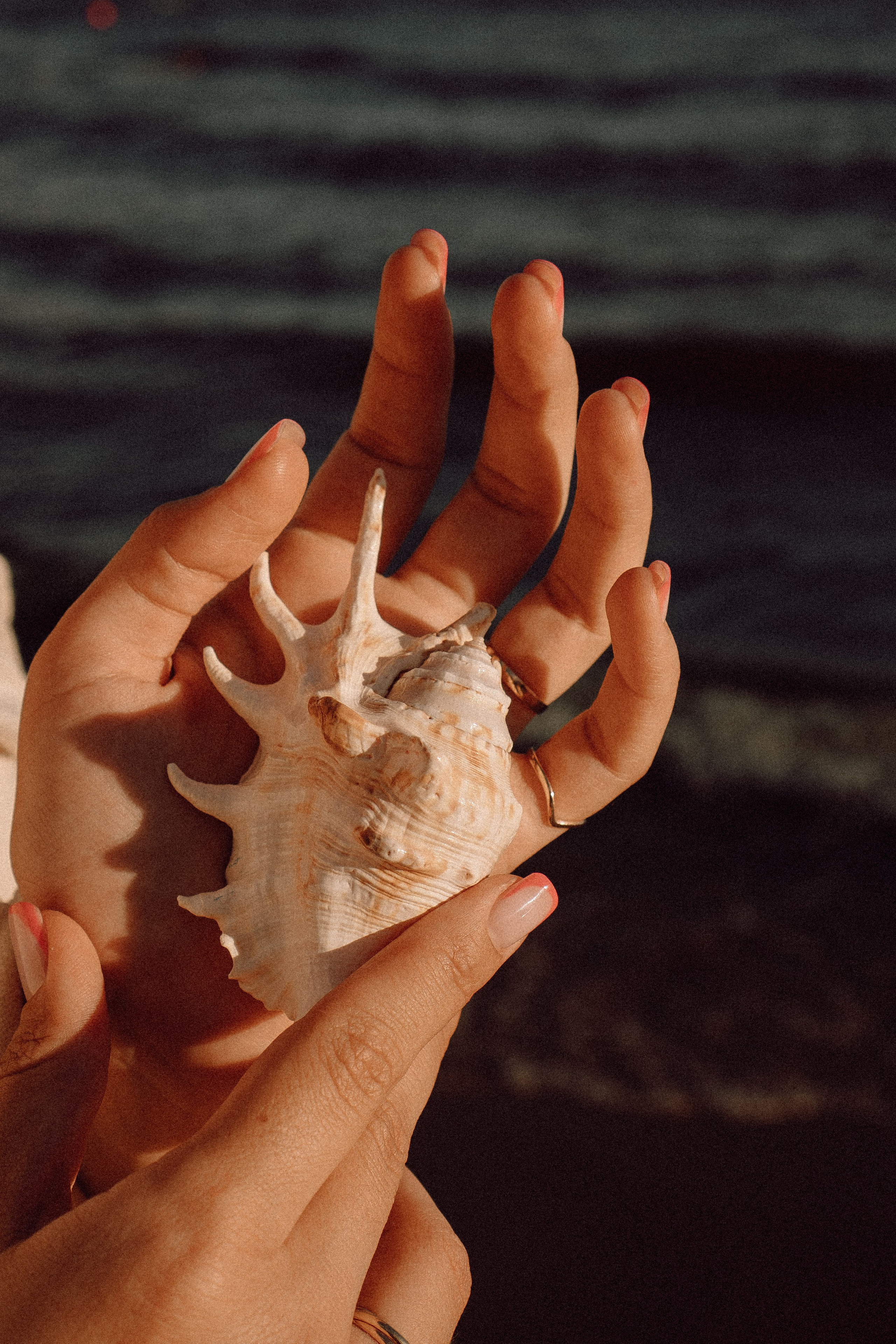РОМАНТИКА ФИНСКОГО ЗАЛИВА. Профессиональный фотограф, Санкт-Петербург — Виктория Богомолова