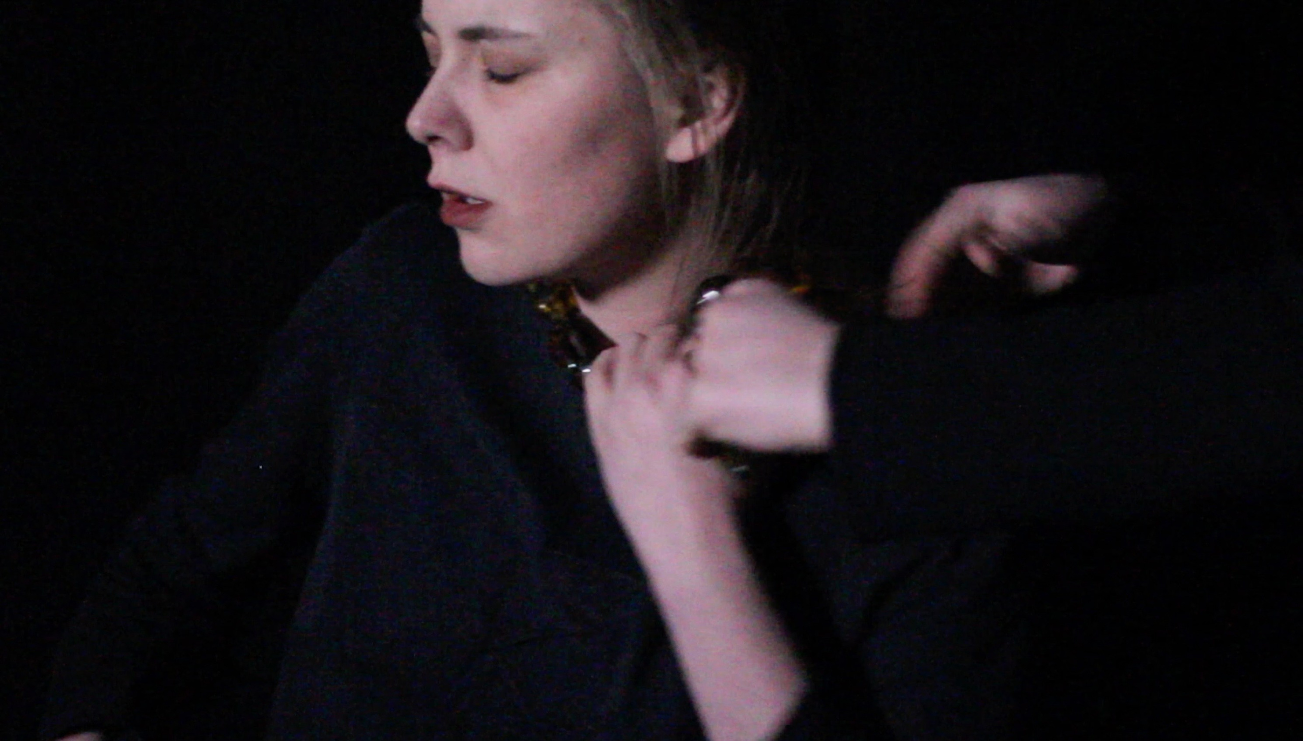 СОННАЯ АРТЕРИЯ. Художественная группа «Нежные Бабы»