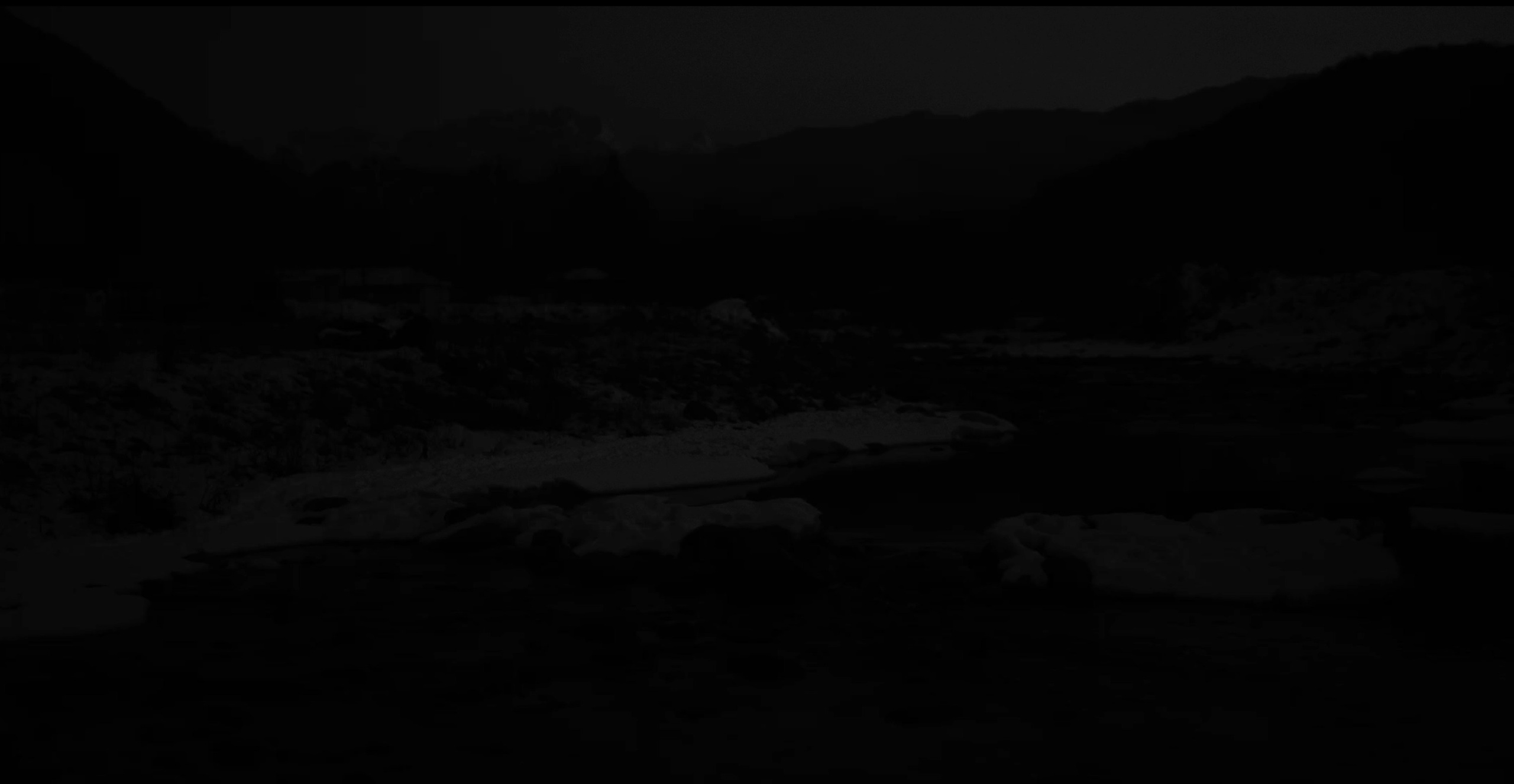 Ничего не было видно и приходилось прислушиваться. Художественная группа «Нежные Бабы»