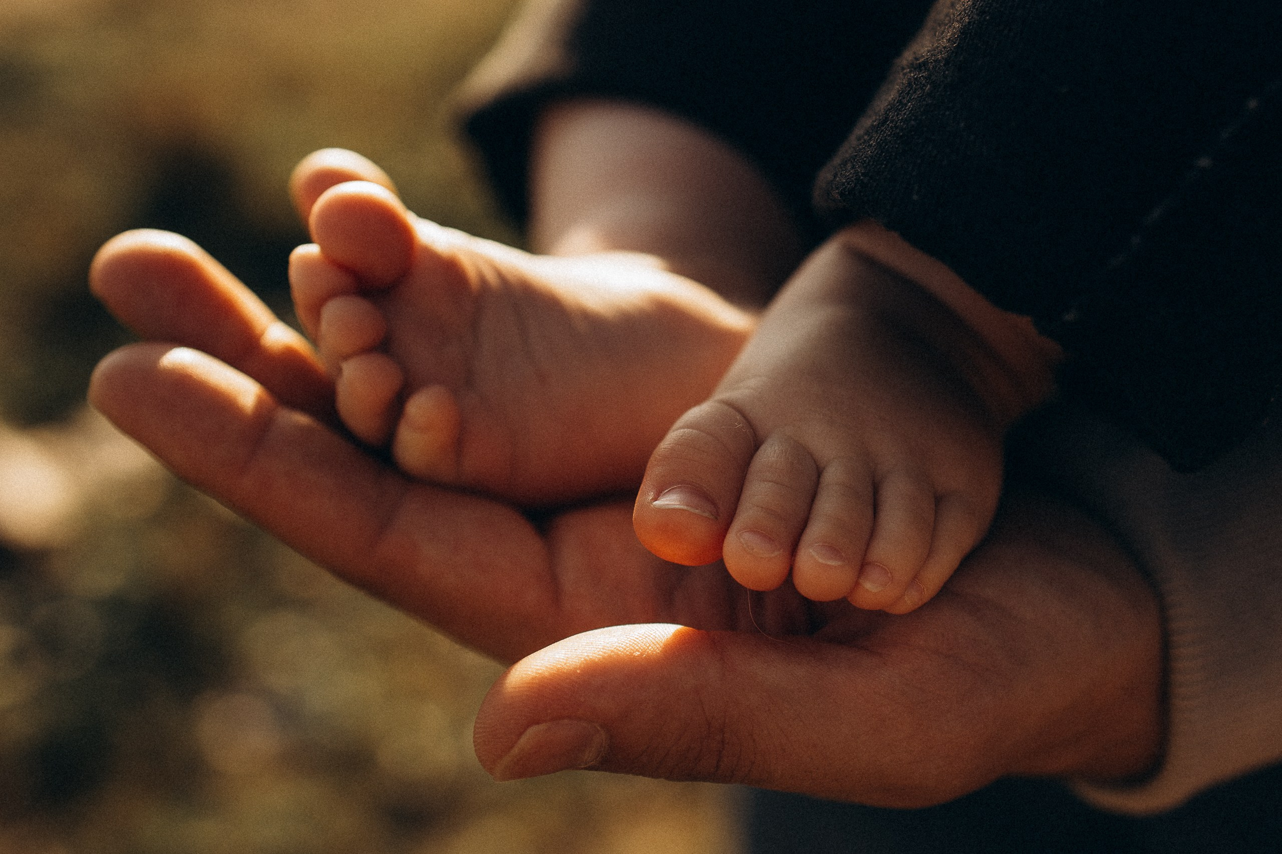 Семейная фотосессия на пляже в лучах заката