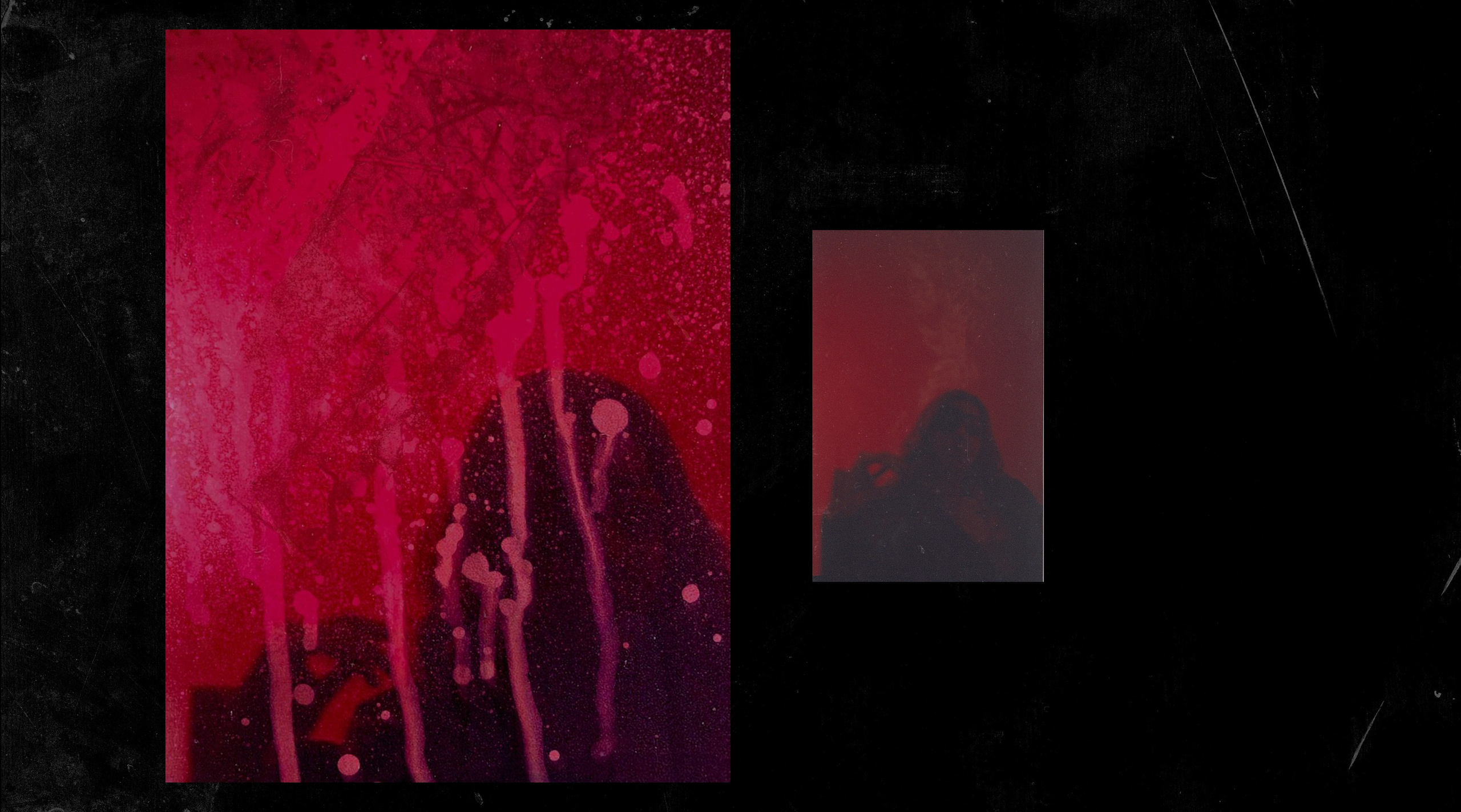 Tarantino. Контент-креатор Паша Норицын