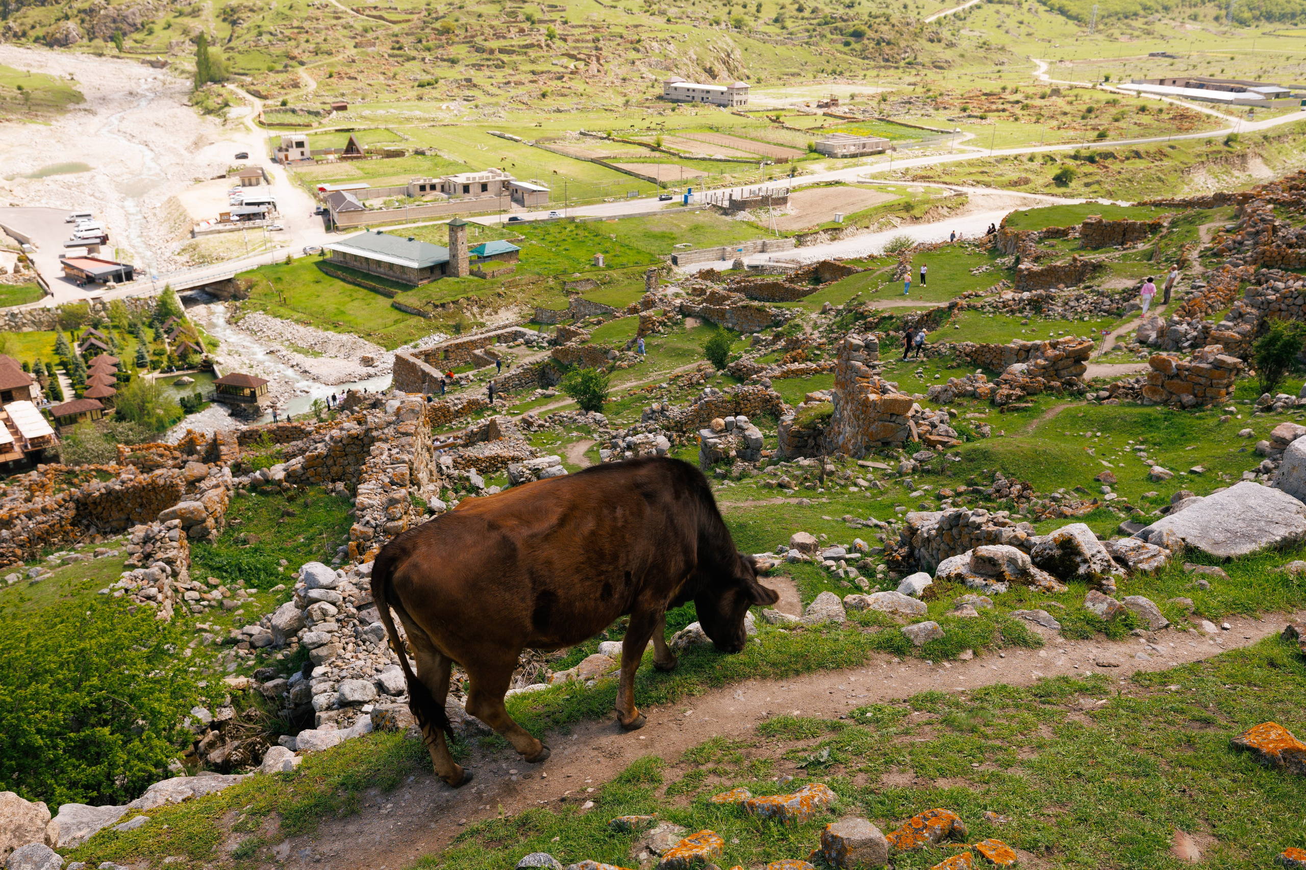 Street & Landscapes. Фотограф в Санкт-Петербурге Александр Терников