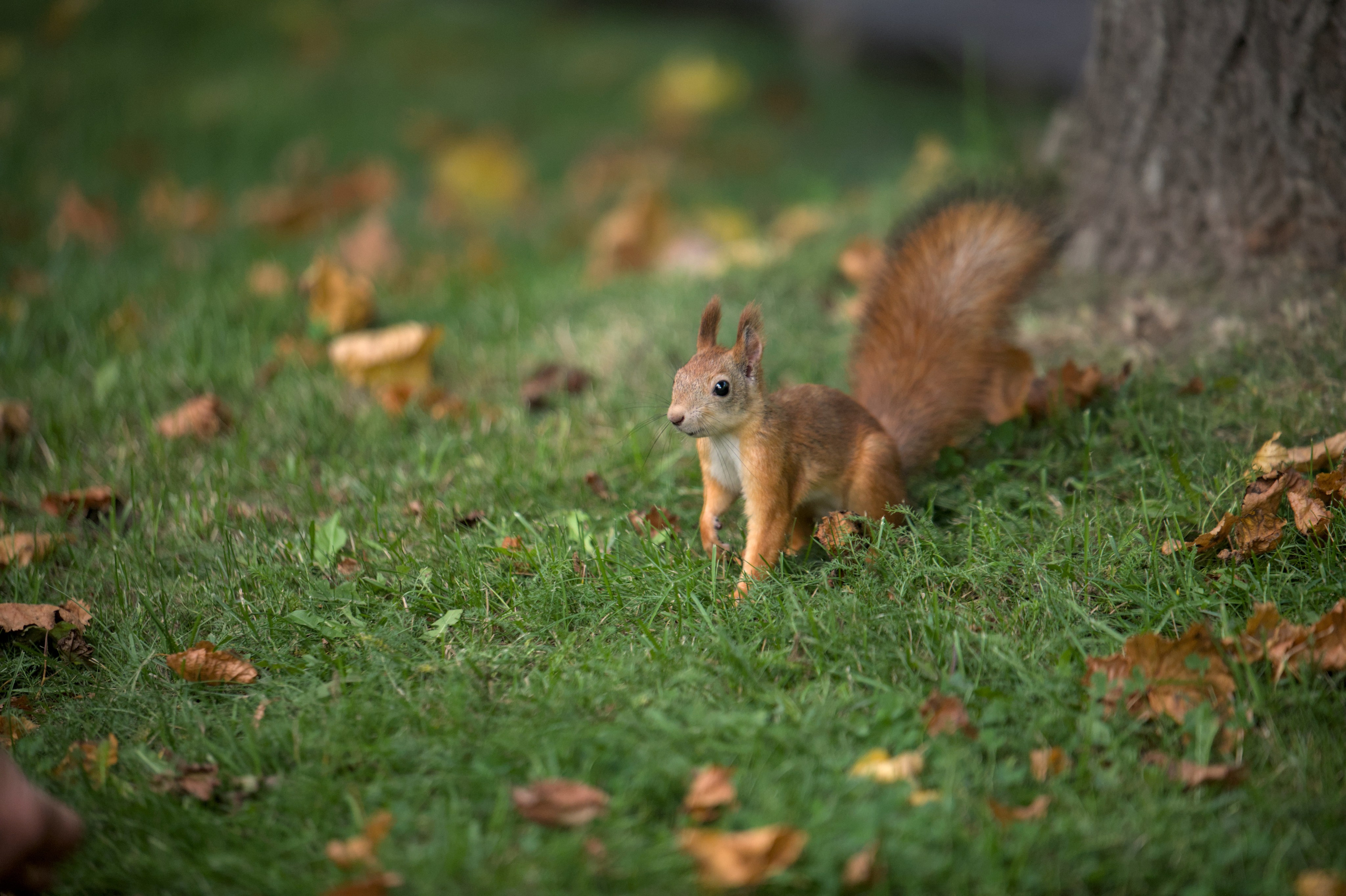 Природа. Фото детских спортивных мероприятий и всякое интересное через объектив