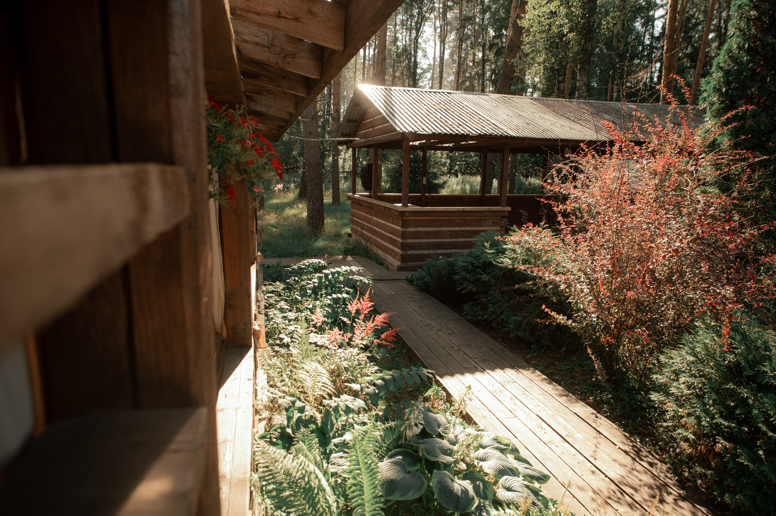 Екатерина и Сергей. Свадебный и портретный фотограф в Москве Жердев Даниил