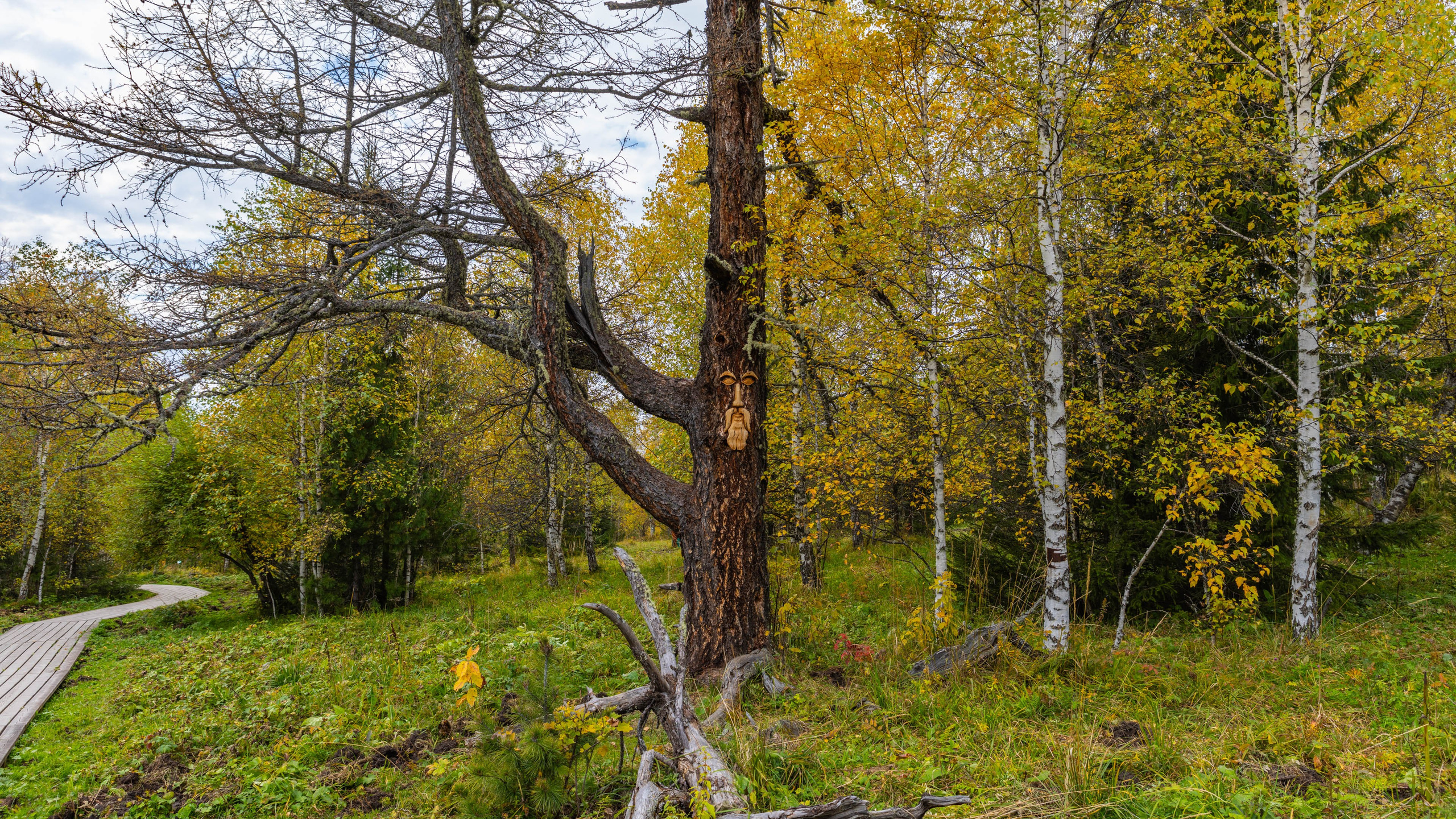 2025 09 Алтай. Чуйский тракт. Фотографии