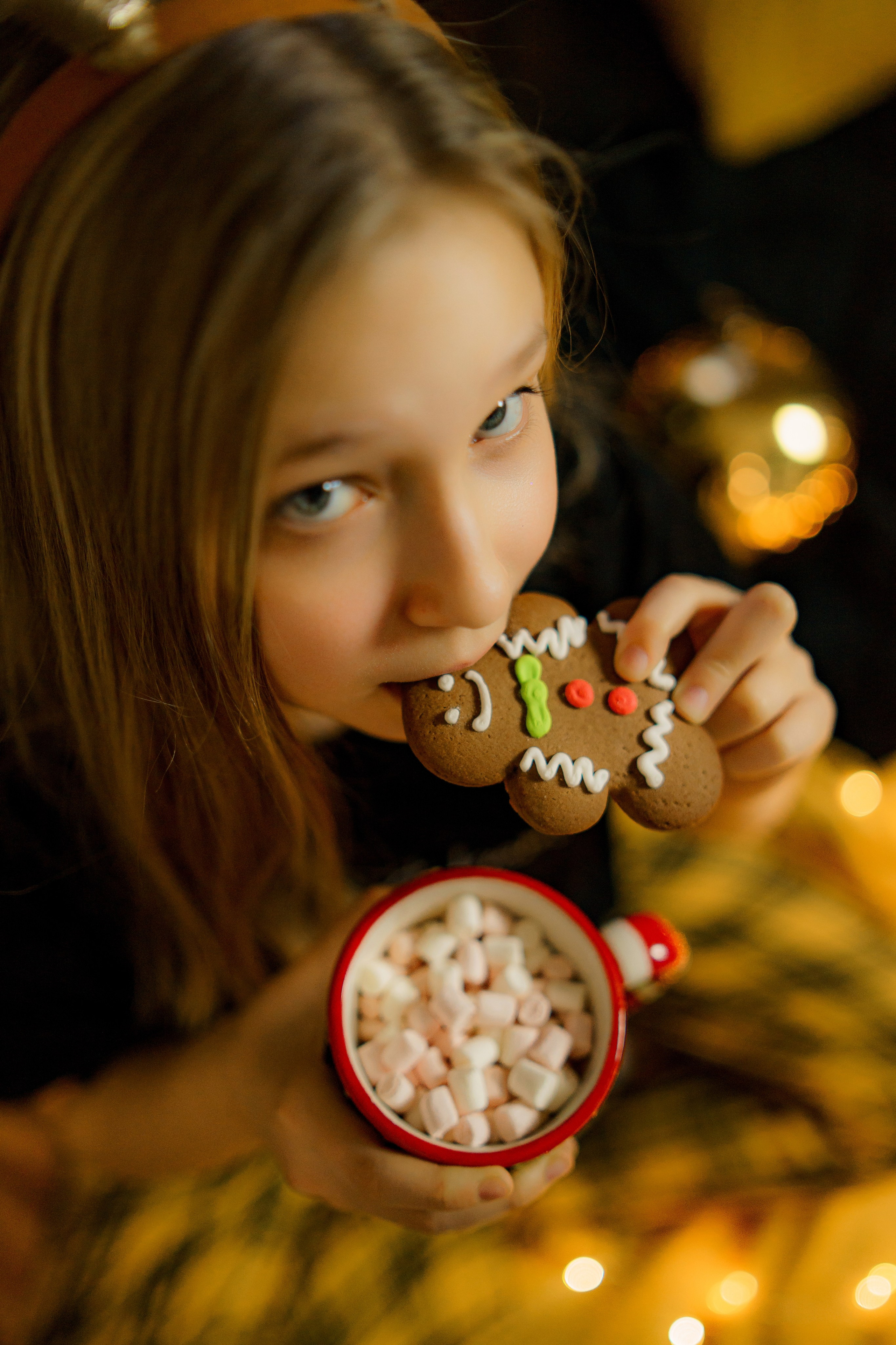 Новый Год. Фотограф Людмила Панюхина г. Нижний Новгород