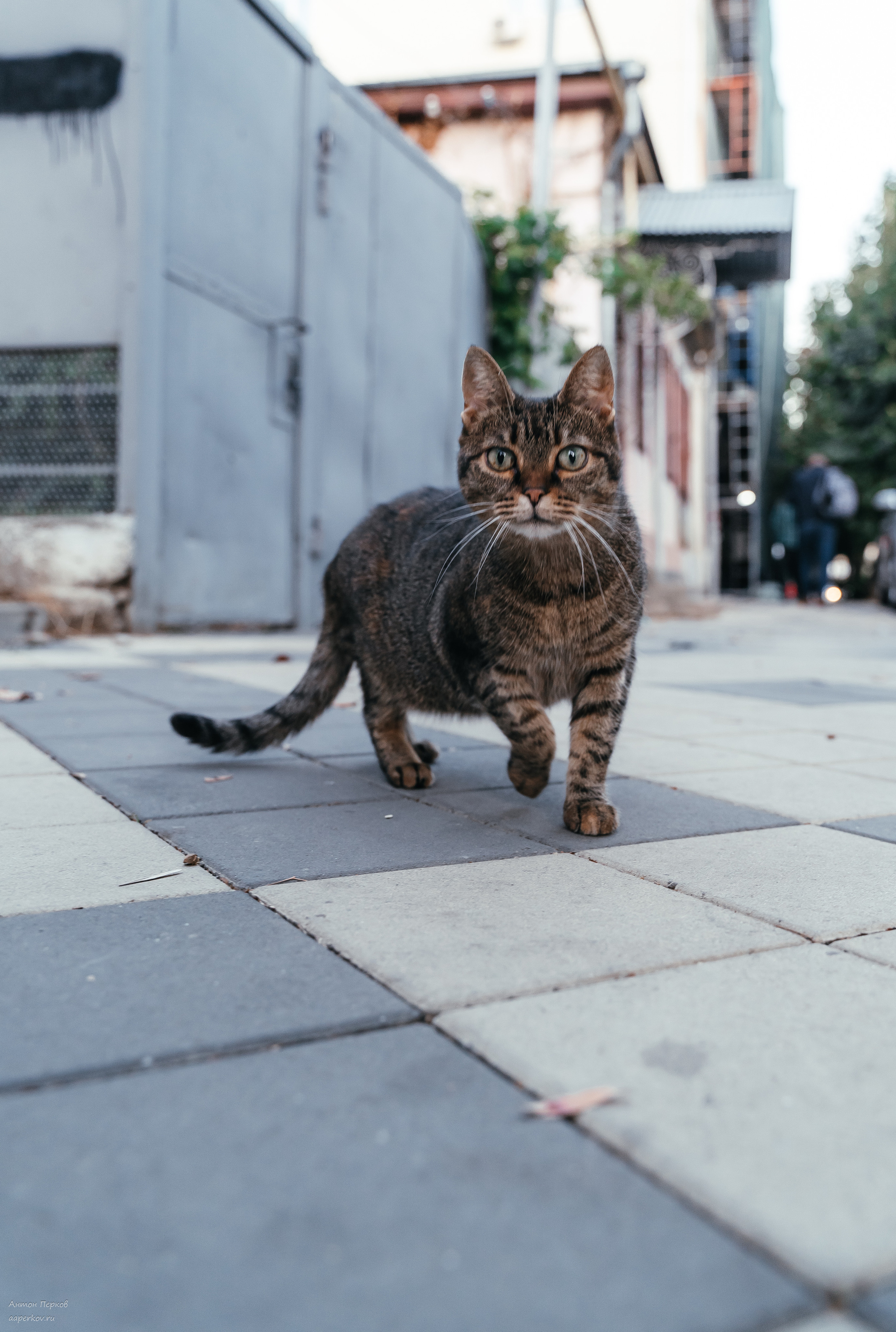 The hard stuff…. Фотограф Антон Перков