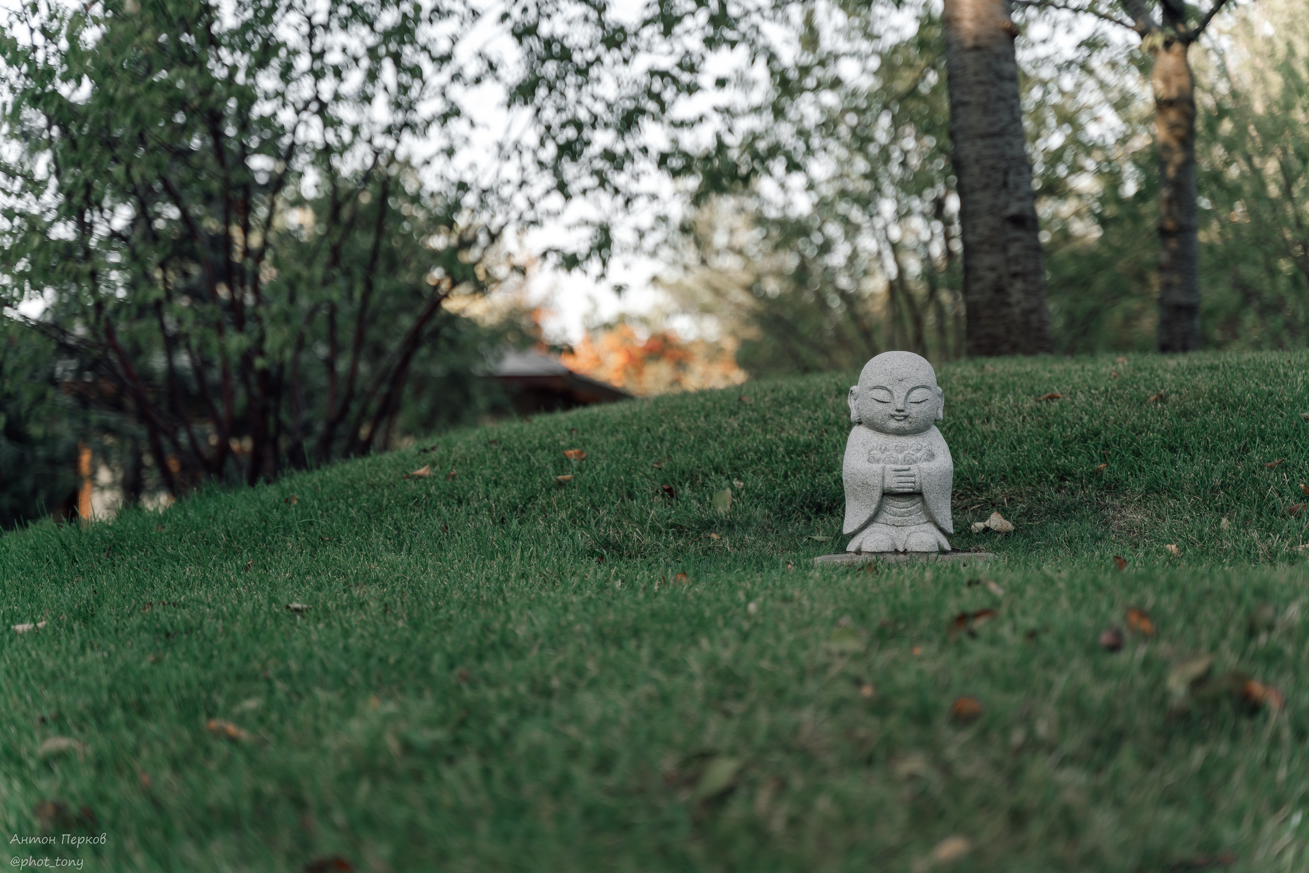 Фотограф Антон Перков