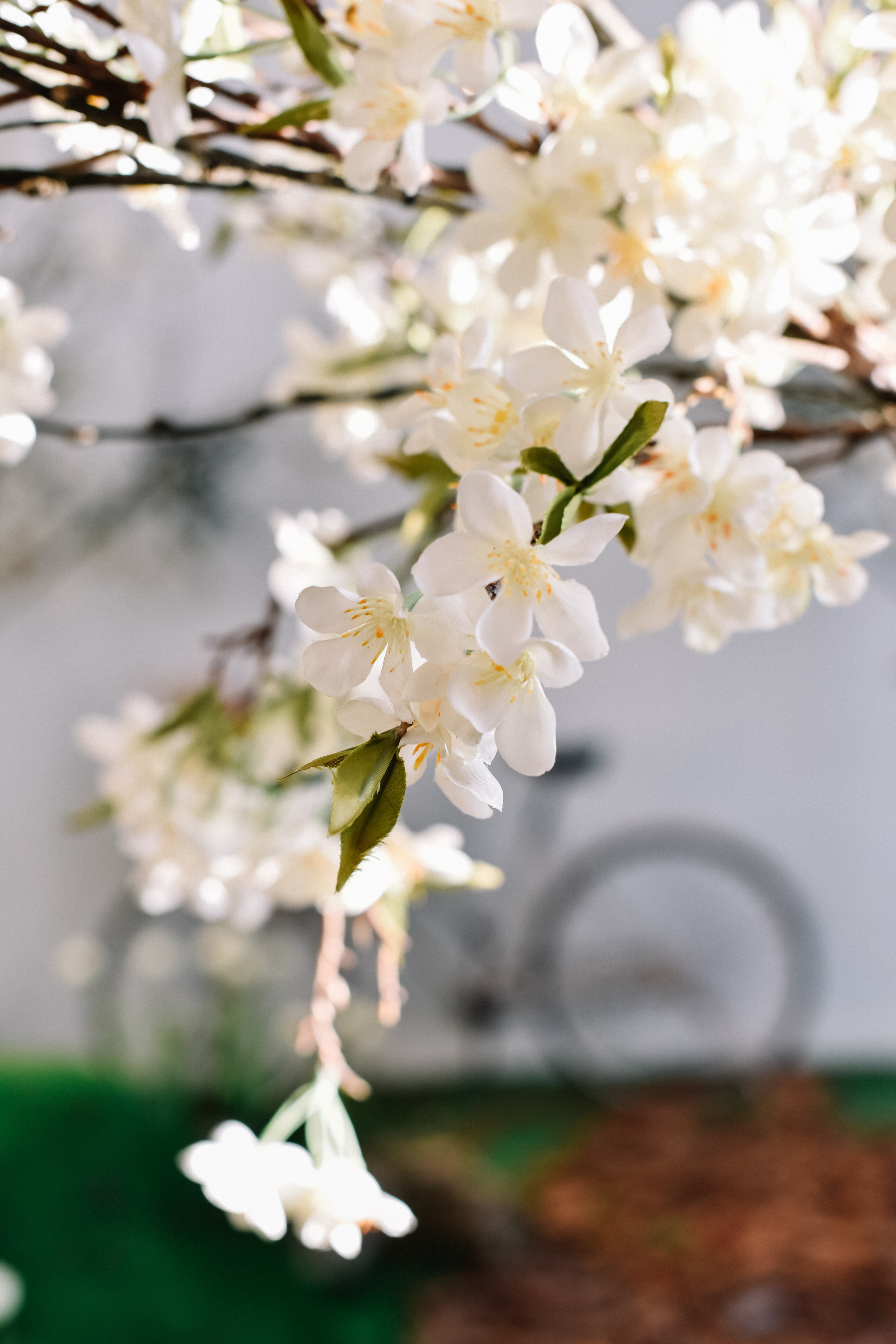 Весна Марго и Марии