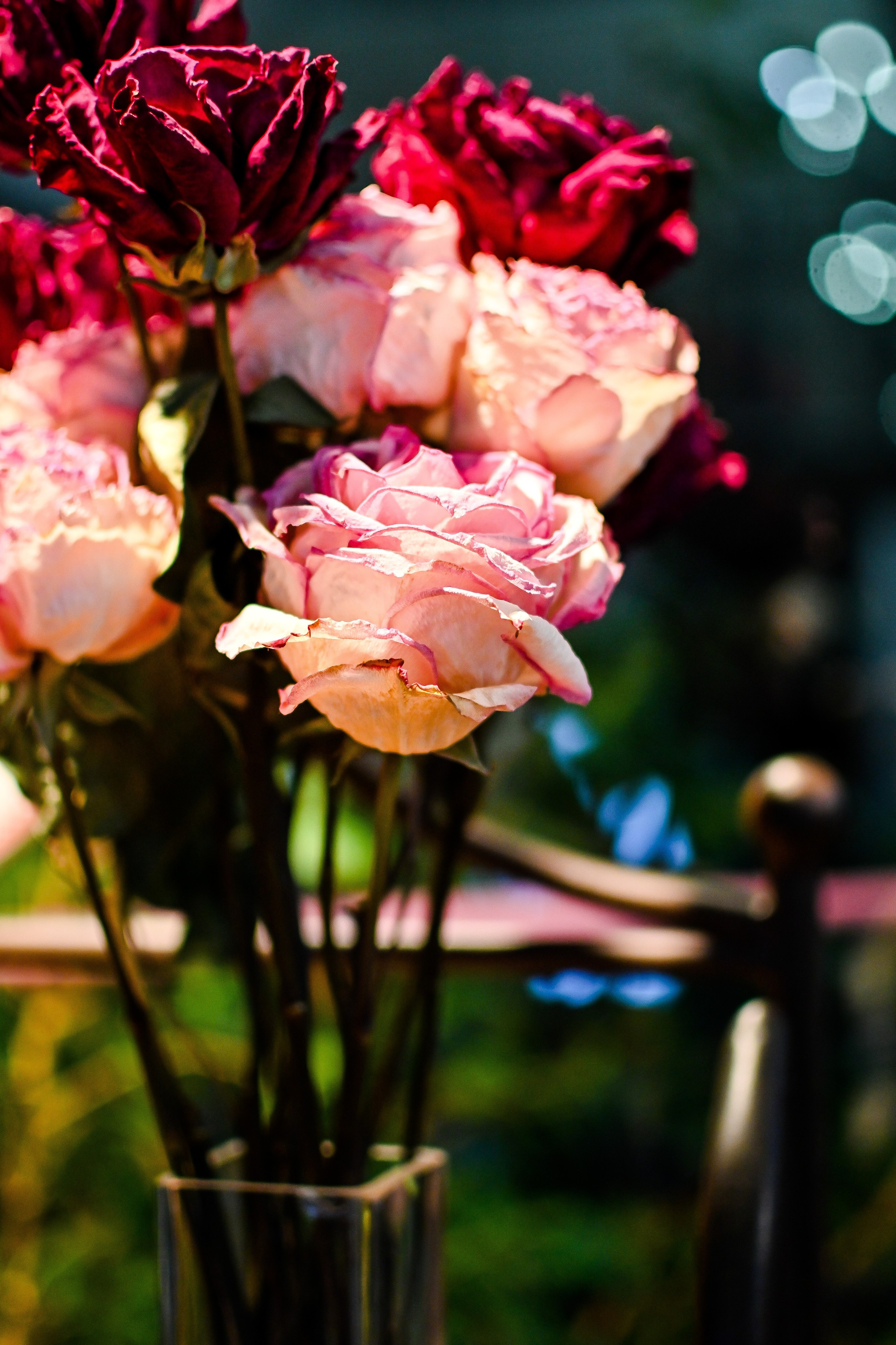 КОСМЕТОЛОГИЯ. Фотограф для бизнесконтента, репортажей и семейного альбома в Москве