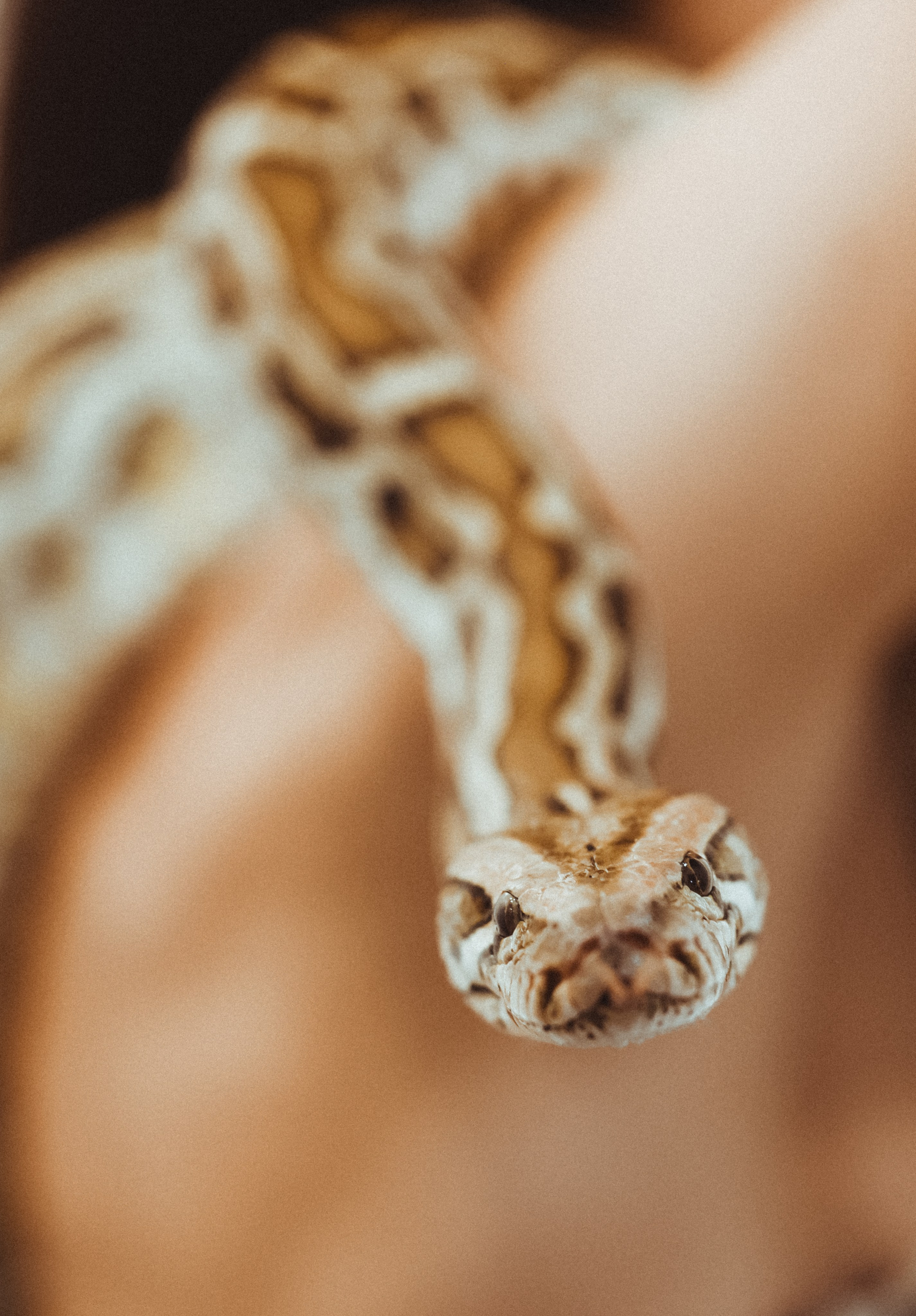 Даша и Питон. Фотограф Тюркан Мария | Ярославль Москва