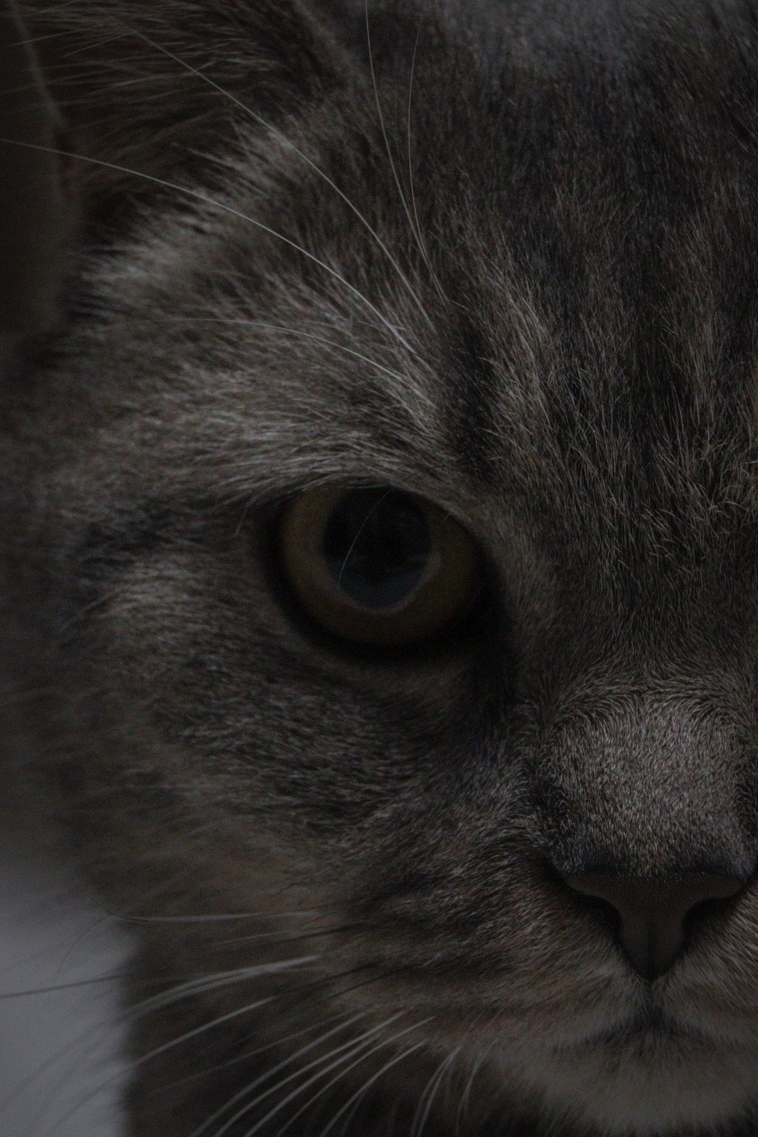 М А Р Т И Н. — Digital Noise —