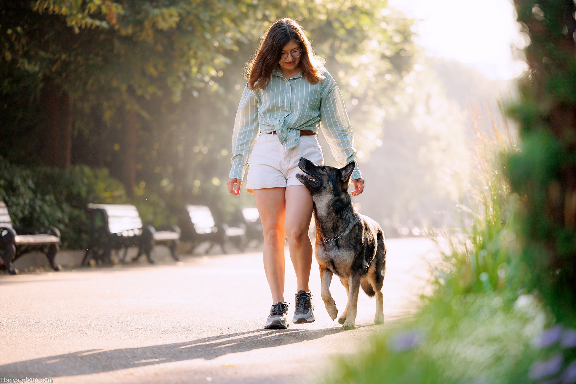 Маша и Харпи. Фотограф собак, фотограф-анималист Аня Титова (Titanya). Москва