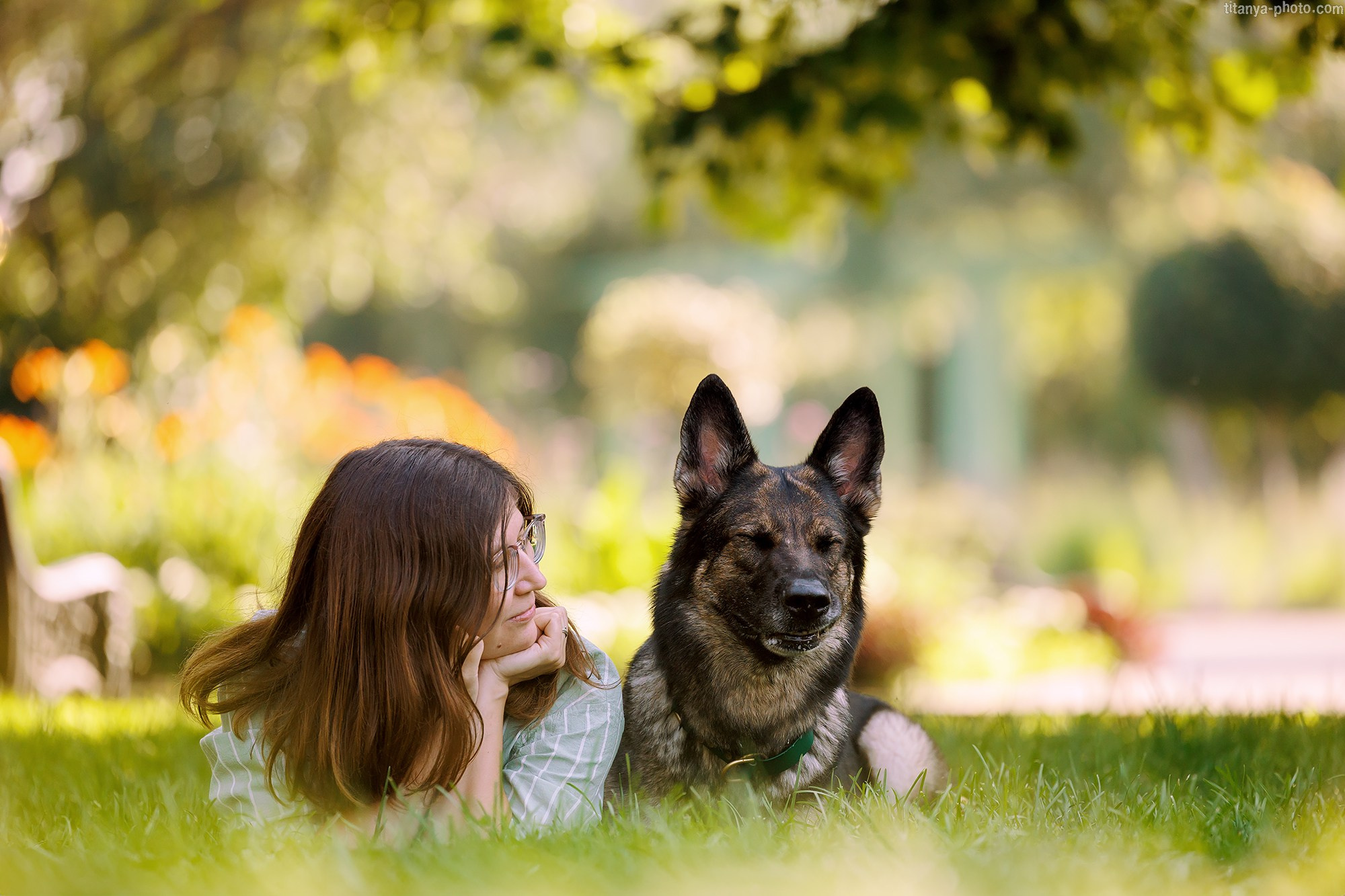 Маша и Харпи. Фотограф собак, фотограф-анималист Аня Титова (Titanya). Москва