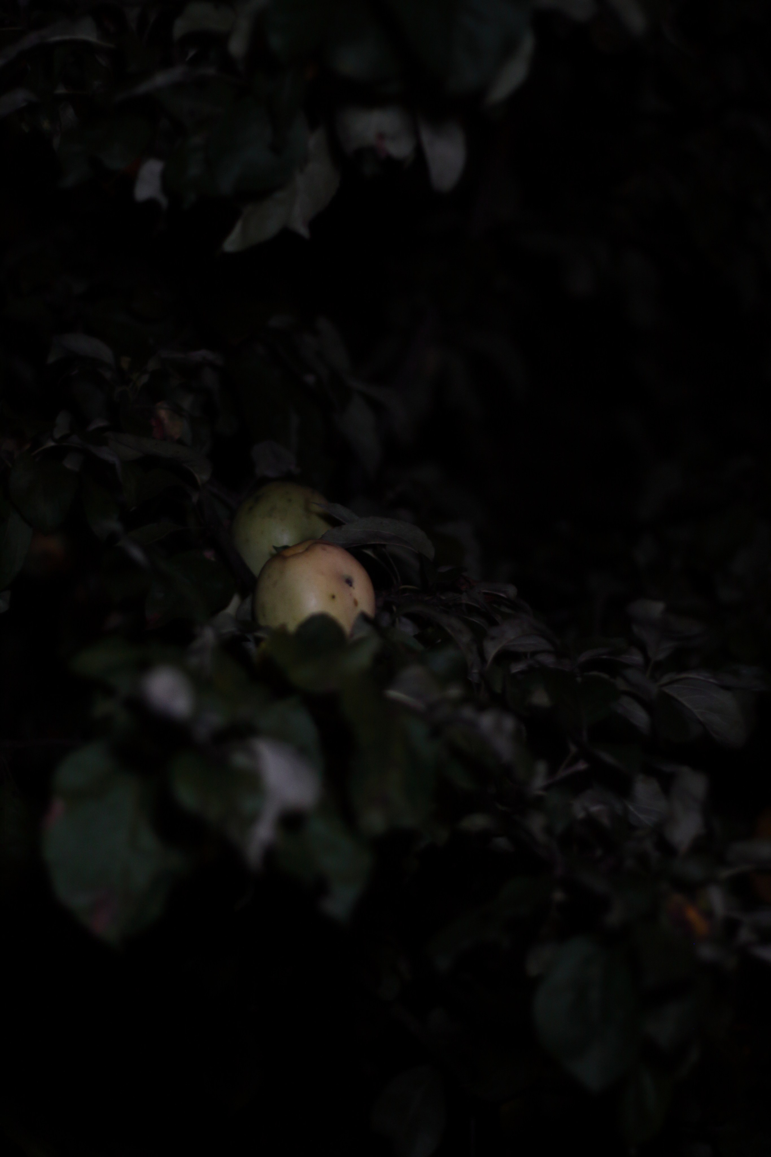 Старое природное, отбирала Katamount (Катерина Горохова). Главная