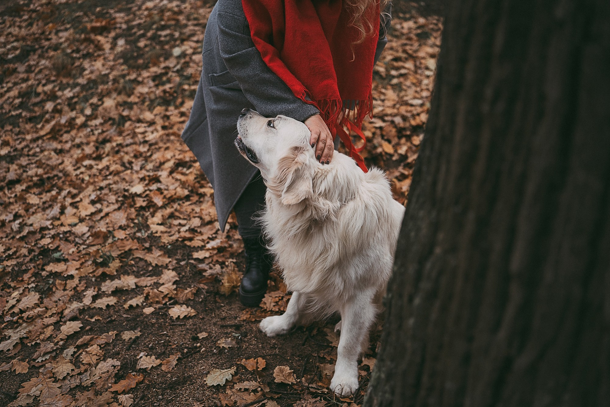 Лена и Мерлин. Фотограф анималист в Москве и Санкт-Петербурге Свиридова Анна