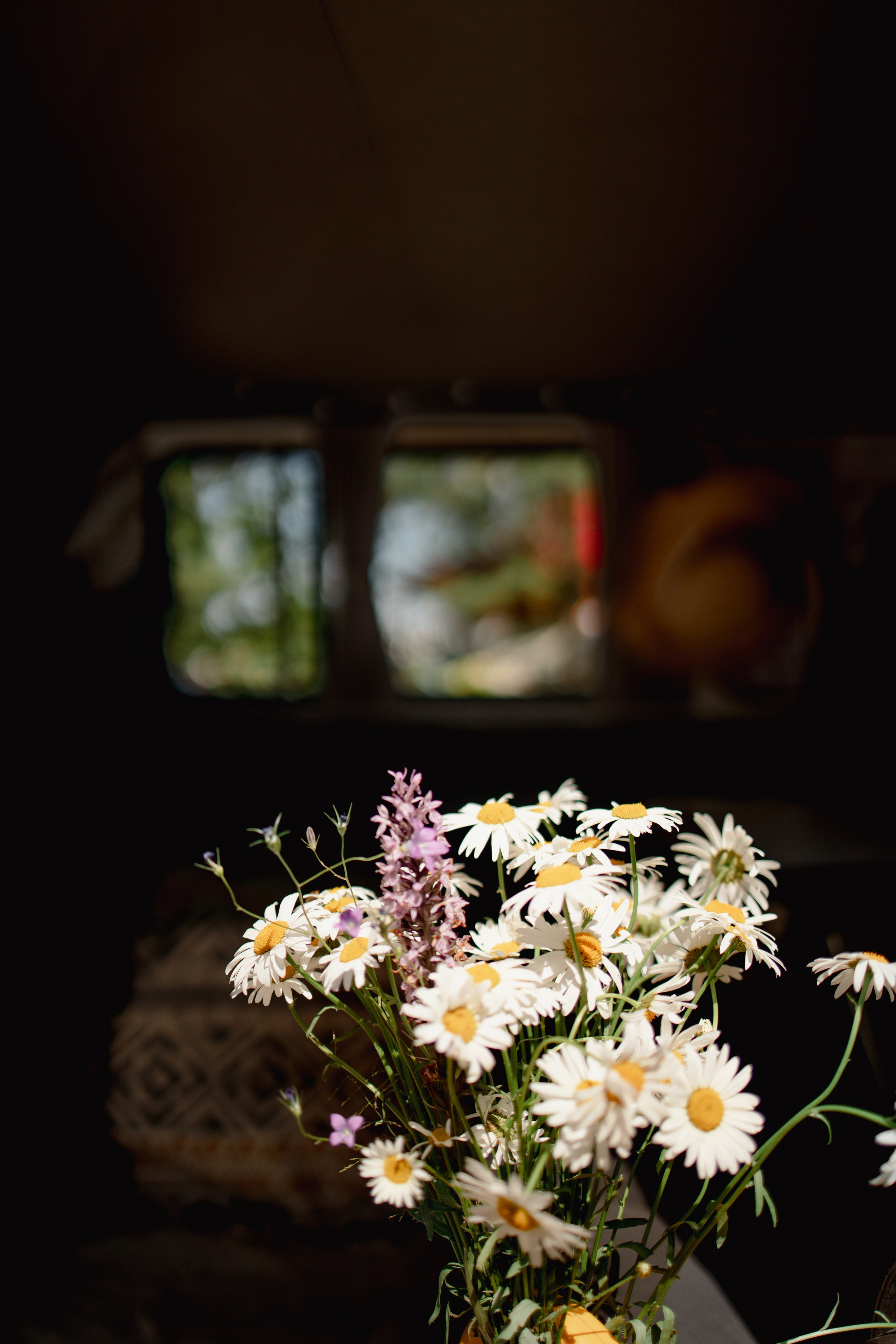 Фестиваль Hello Camper 2024 открытие. Репортажный и портретный фотограф в Санктпетербурге. Видиосъемка мероприятий в Санкт-Петербурге