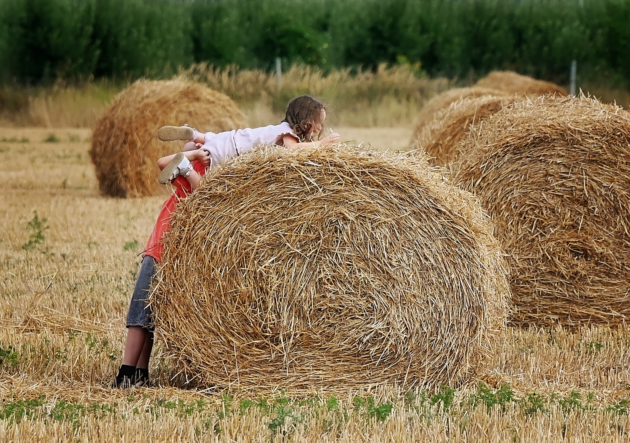 Сено. Главная