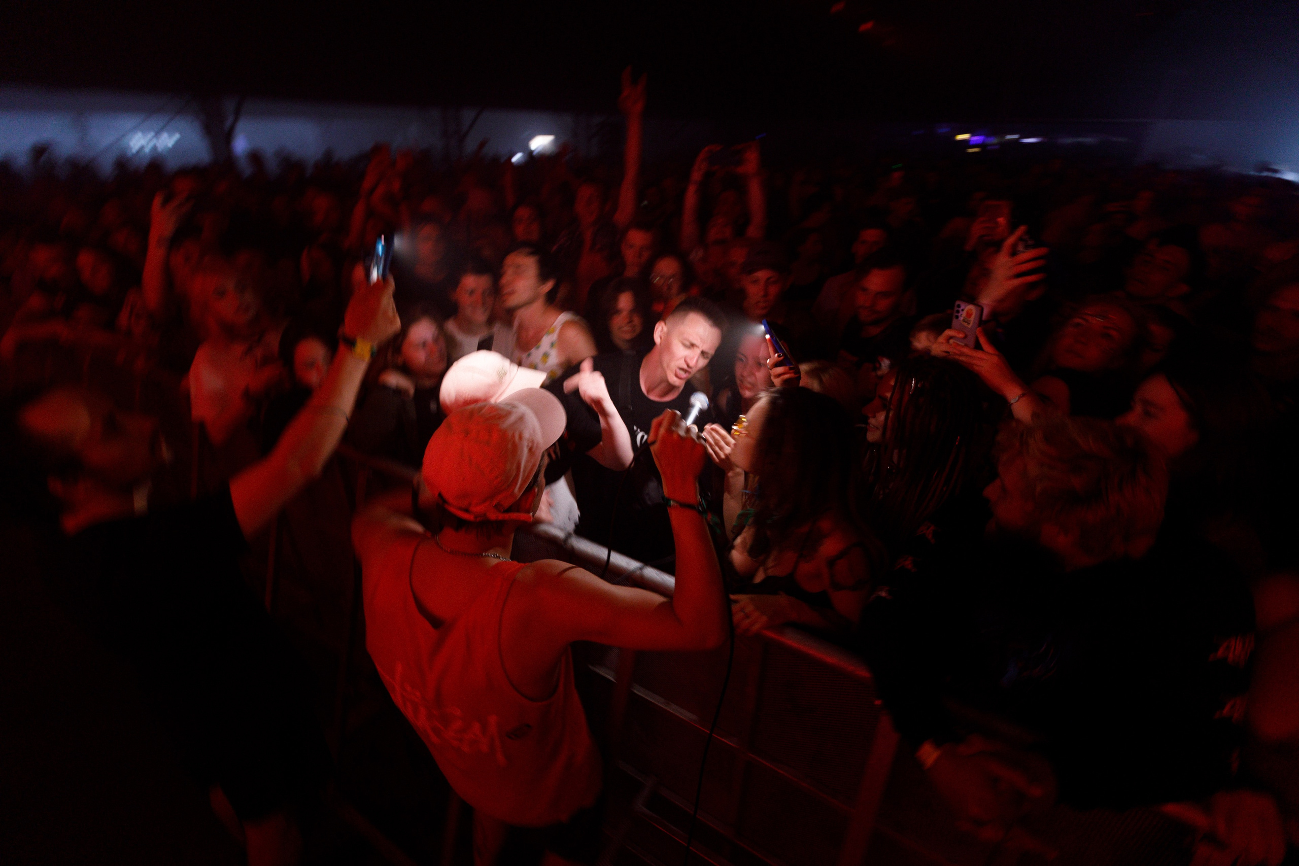 Performance of Puppies at Wild Mint Violet 2022. Commercial photographer | Anton Ermakov