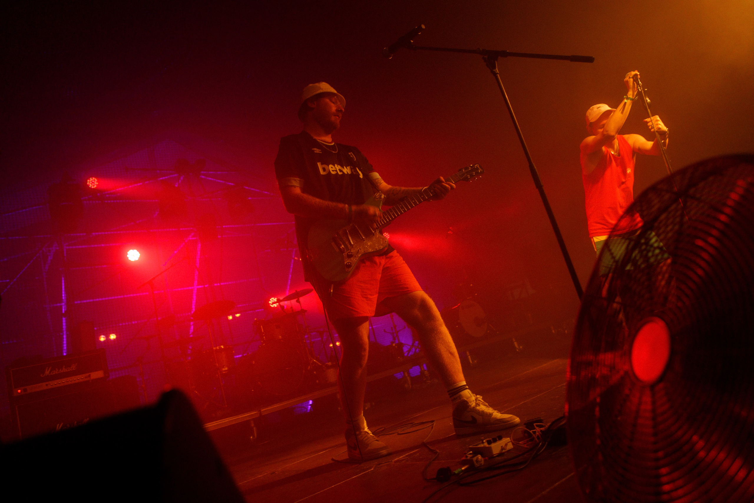 Performance of Puppies at Wild Mint Violet 2022. Commercial photographer | Anton Ermakov