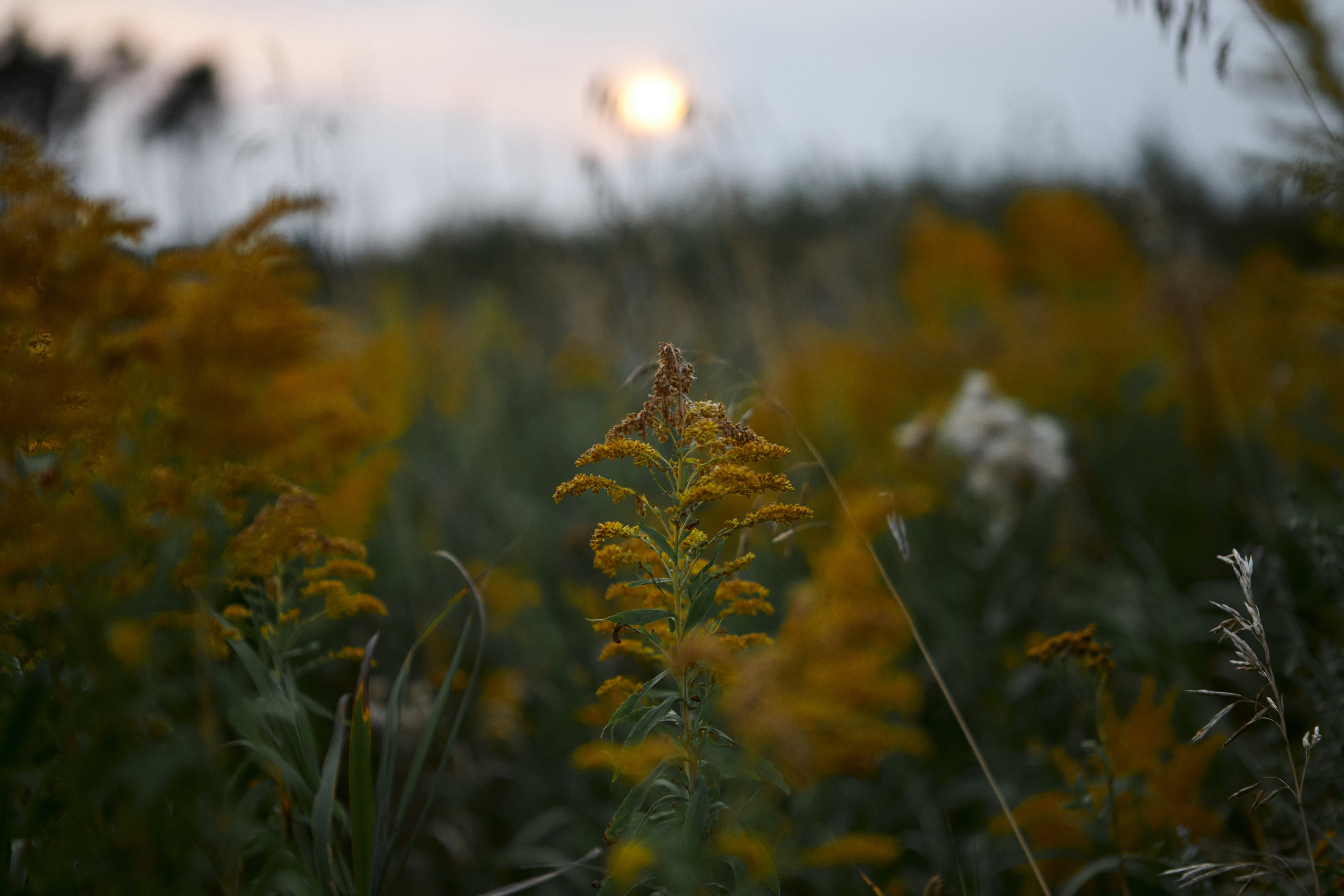 Julia Petrova. Commercial photographer | Anton Ermakov