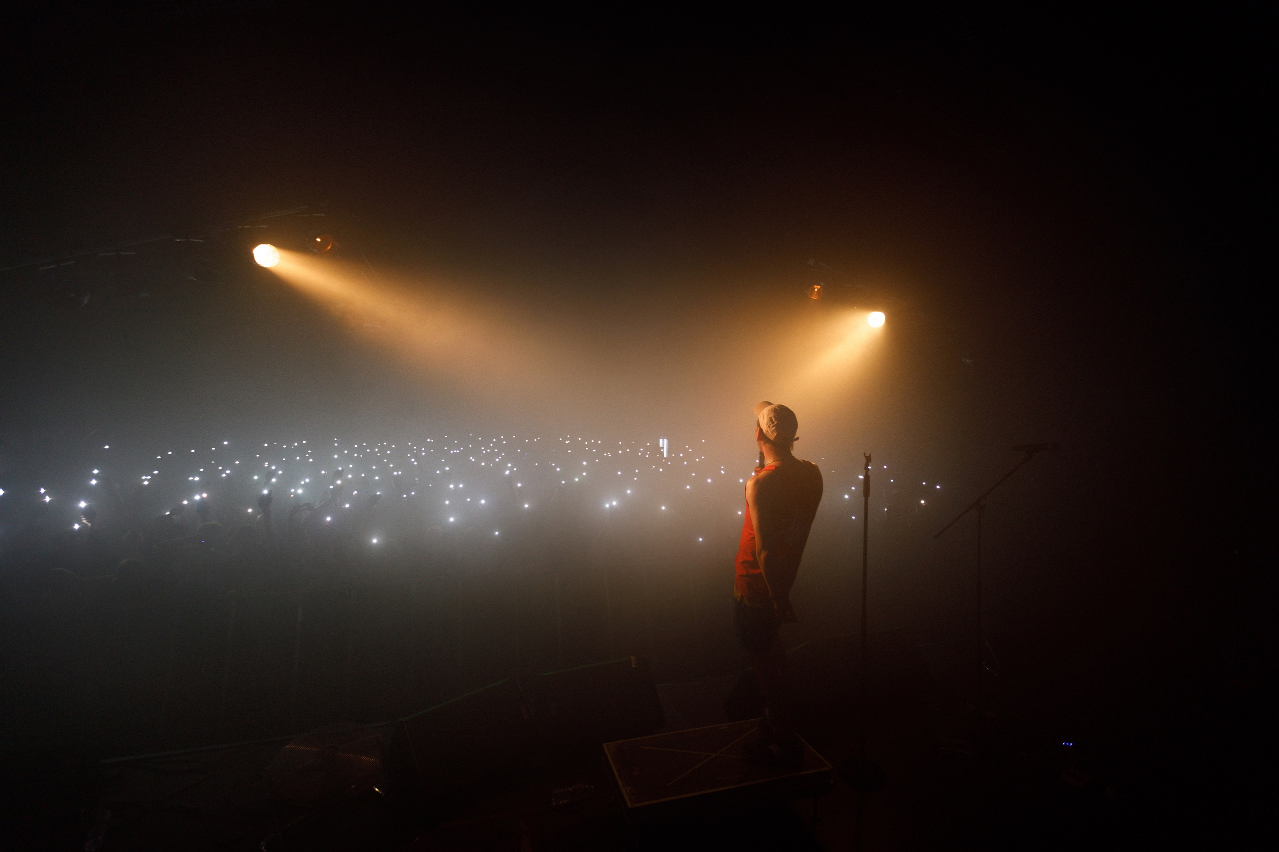 Performance of Puppies at Wild Mint Violet 2022. Commercial photographer | Anton Ermakov