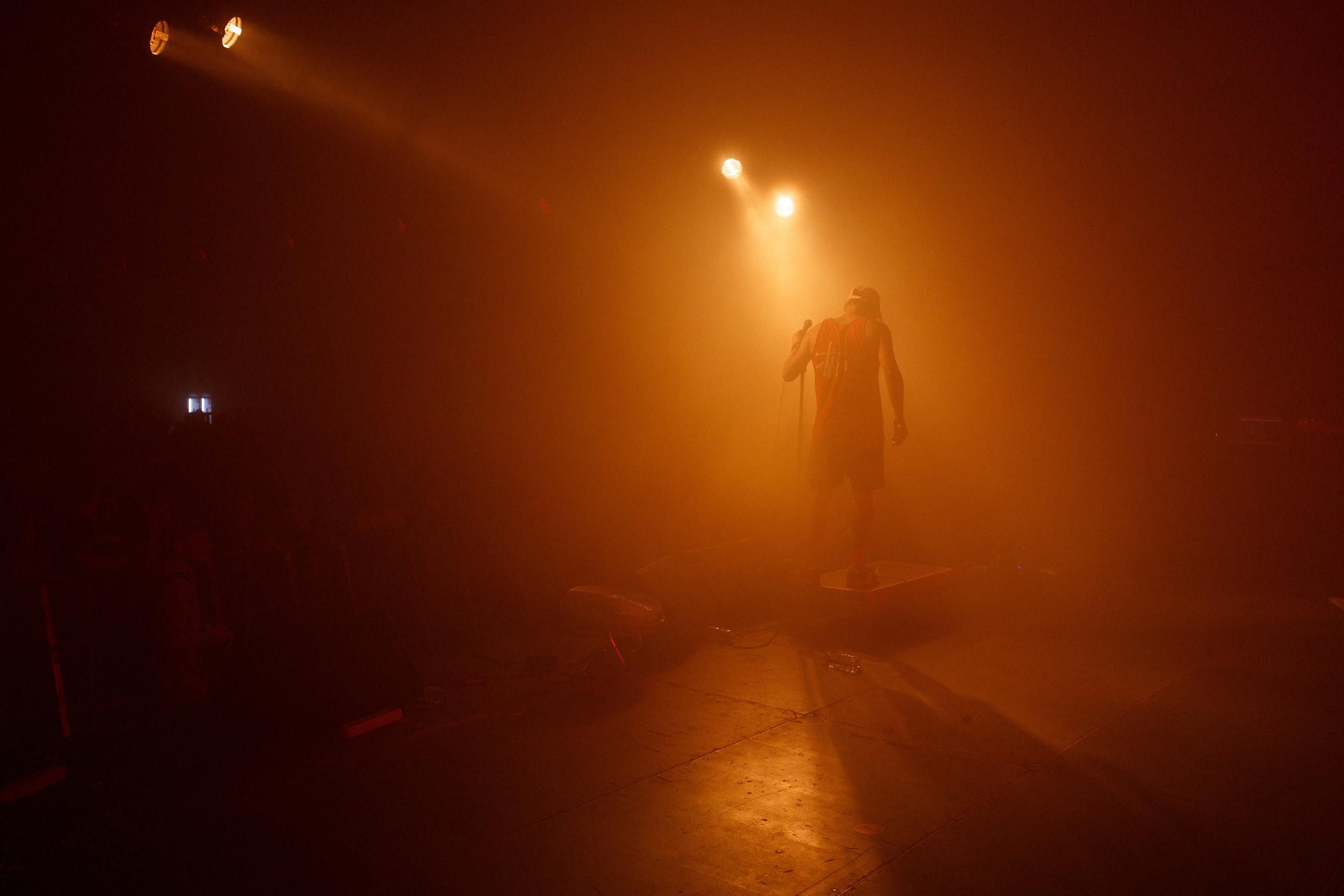 Performance of Puppies at Wild Mint Violet 2022. Commercial photographer | Anton Ermakov