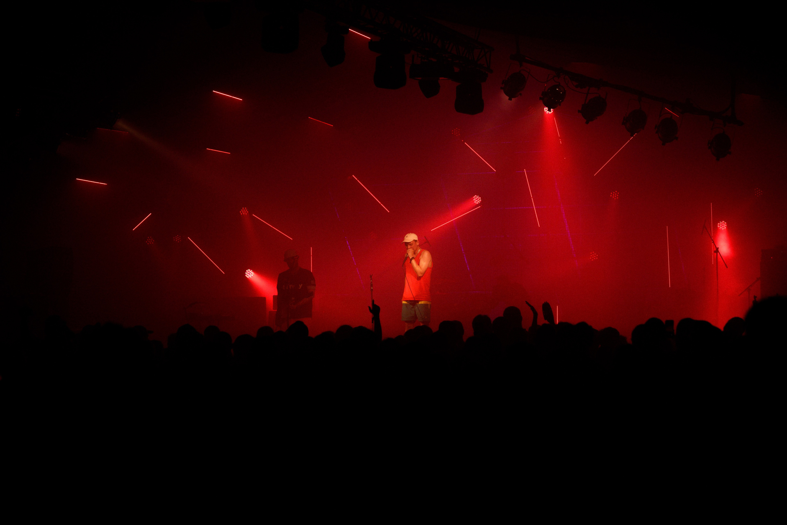 Performance of Puppies at Wild Mint Violet 2022. Commercial photographer | Anton Ermakov