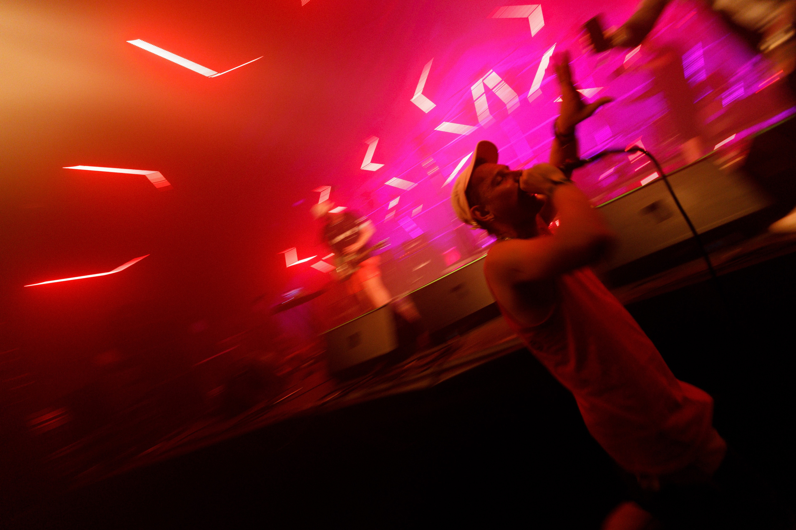 Performance of Puppies at Wild Mint Violet 2022. Commercial photographer | Anton Ermakov